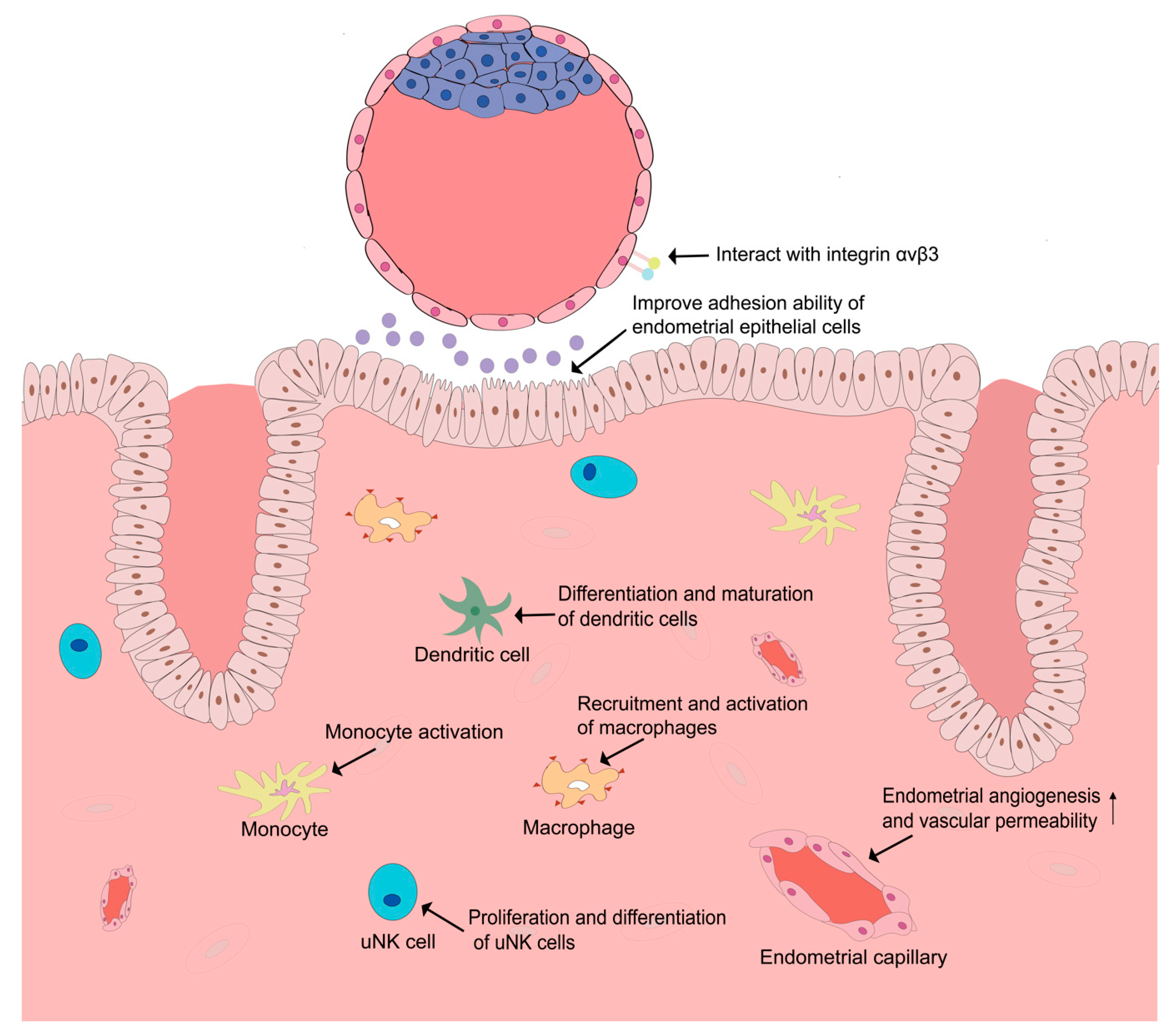 Biomolecules 11 00253 g001