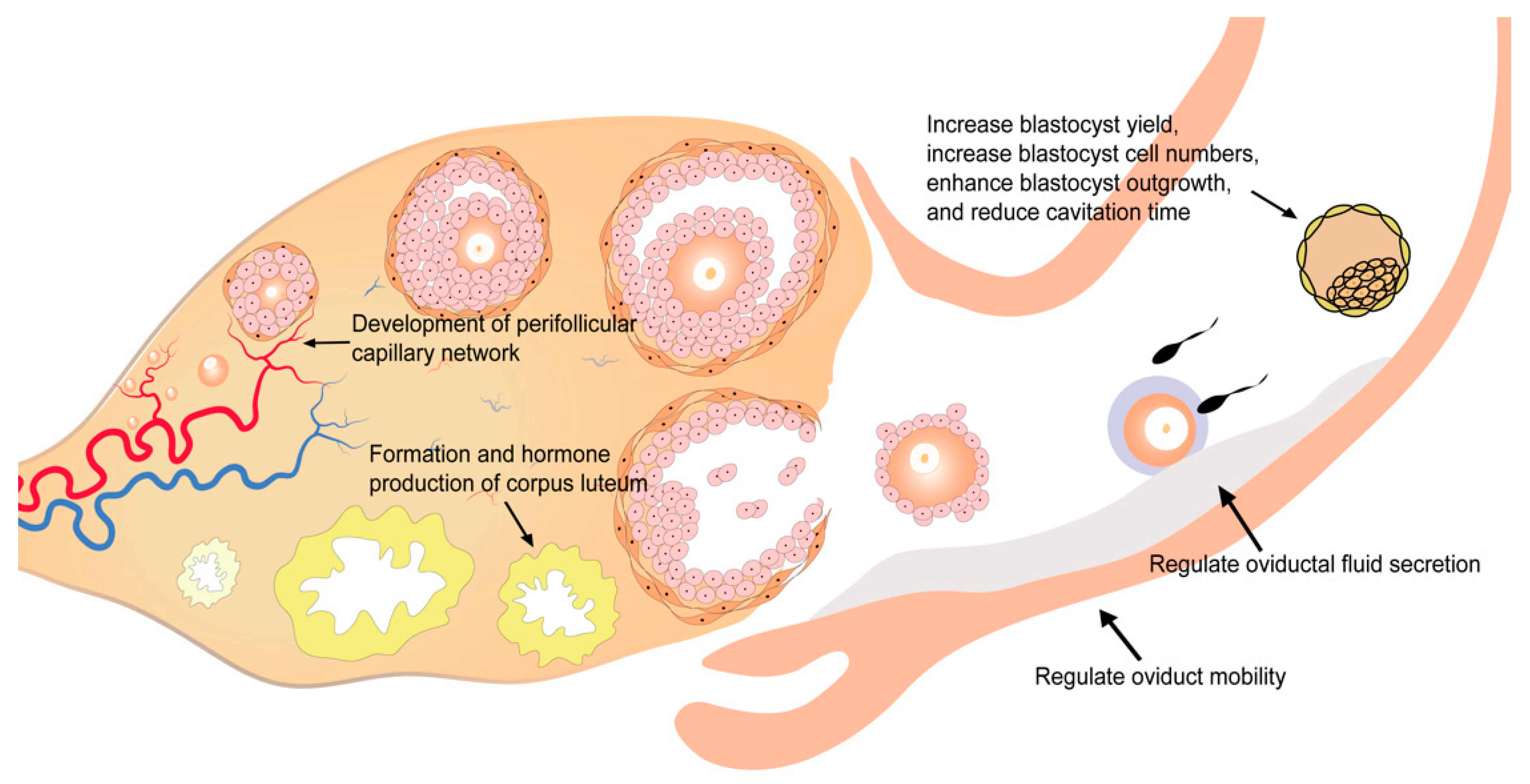 Biomolecules 11 00253 g002
