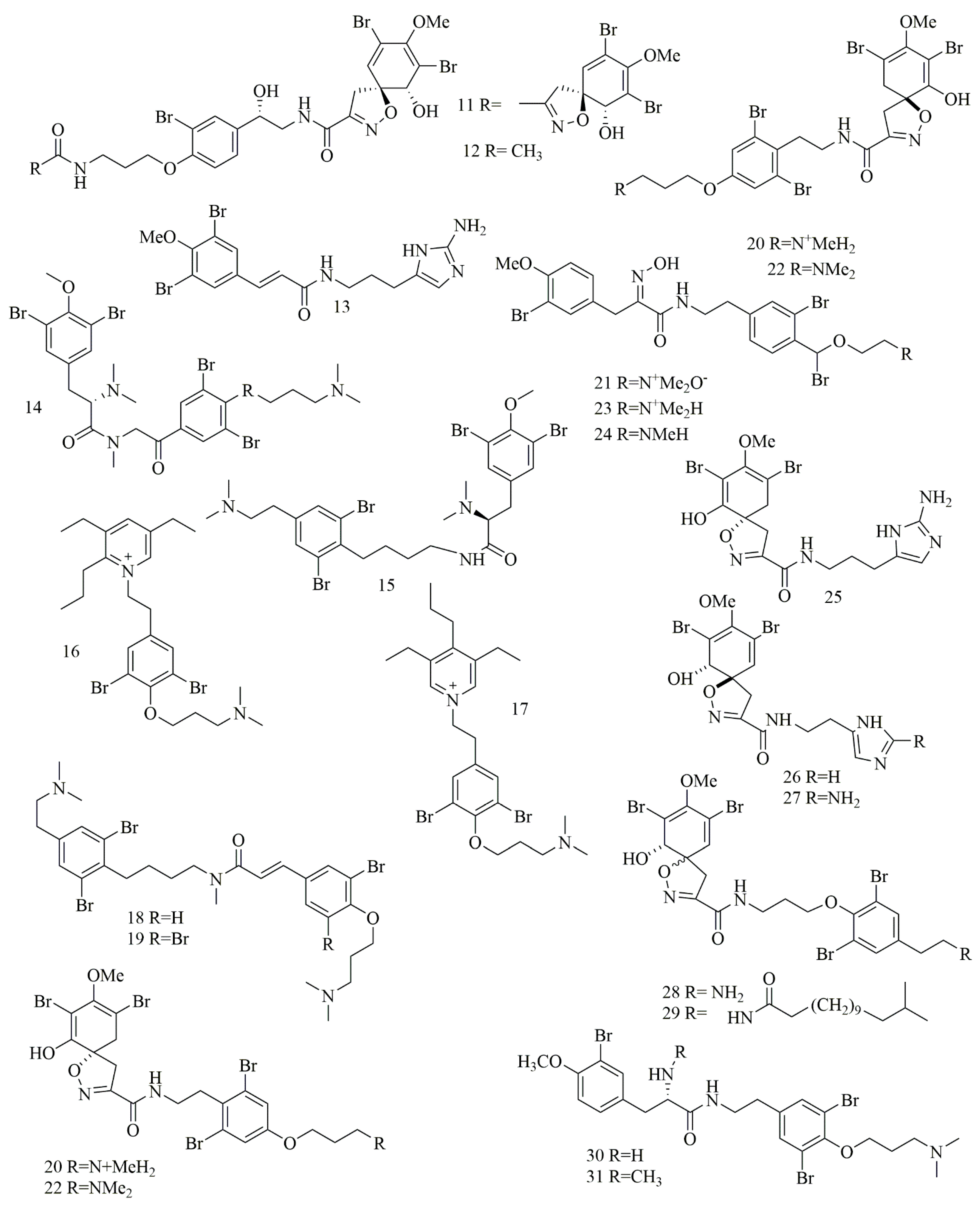Biomolecules 11 00258 g003 Biomolecules 11 00258 g003