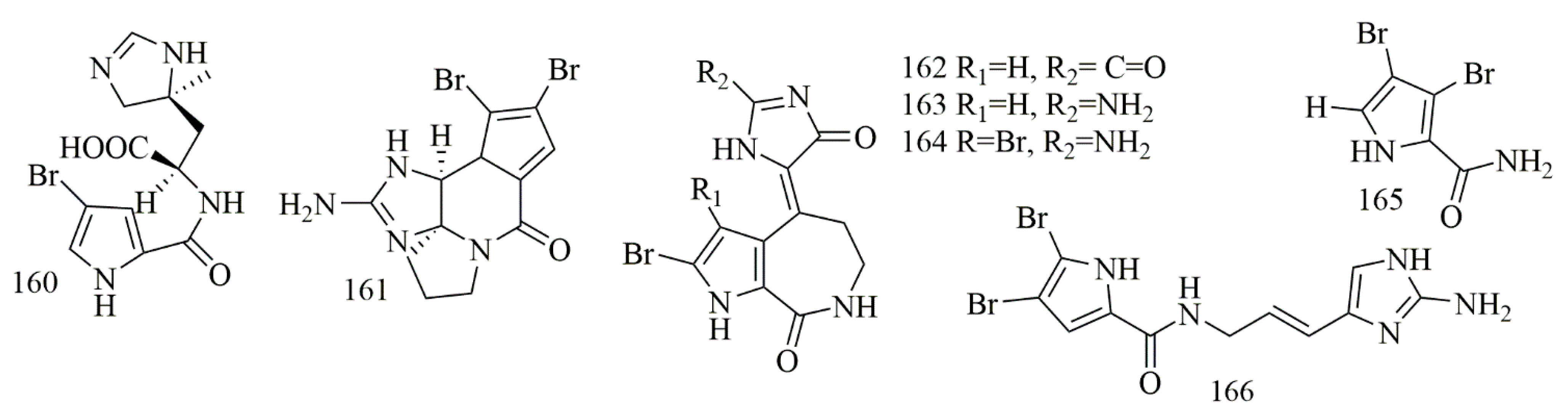 Biomolecules 11 00258 g013 Biomolecules 11 00258 g013