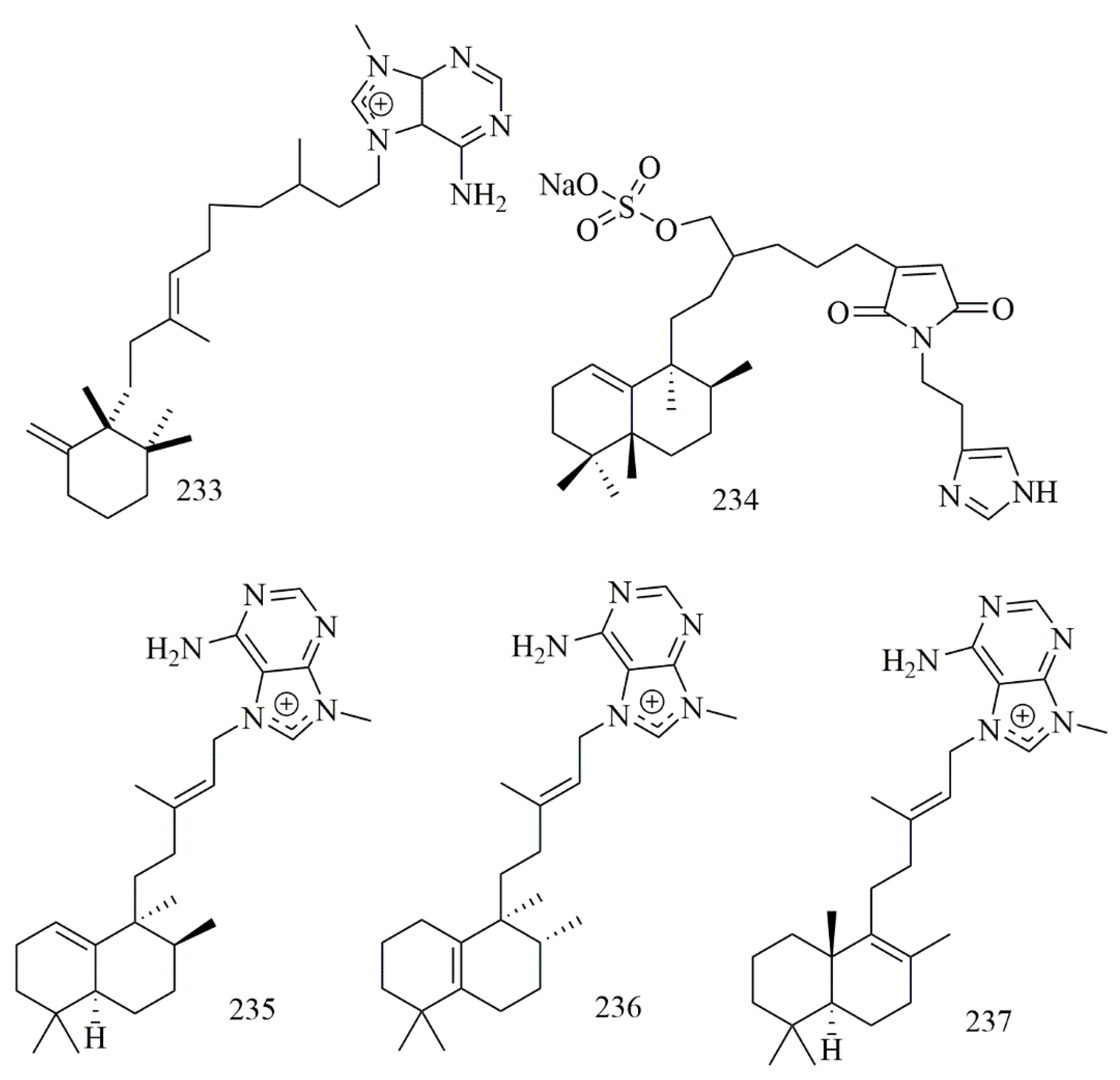 Biomolecules 11 00258 g019 Biomolecules 11 00258 g019