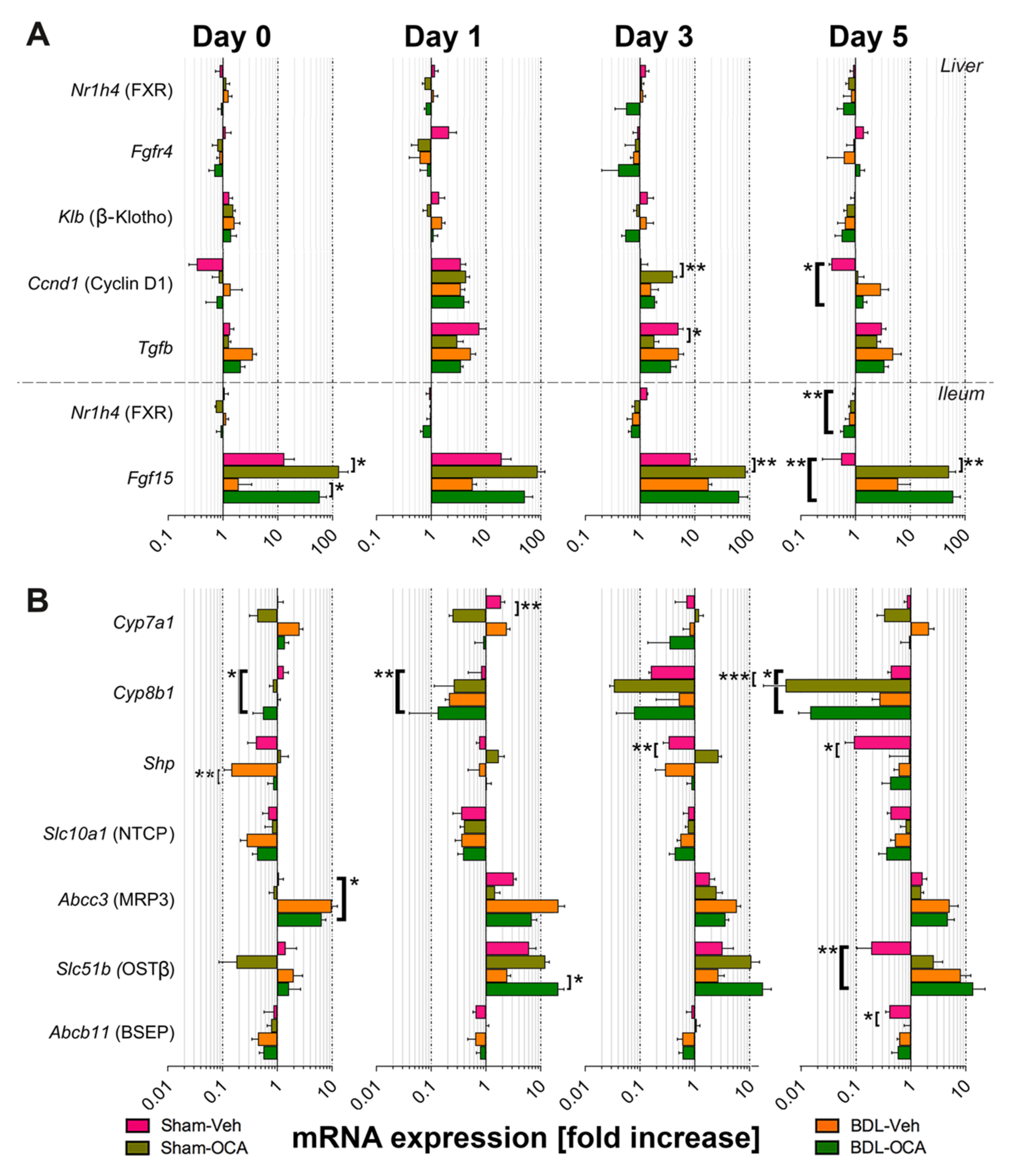 Biomolecules 11 00260 g005 Biomolecules 11 00260 g005