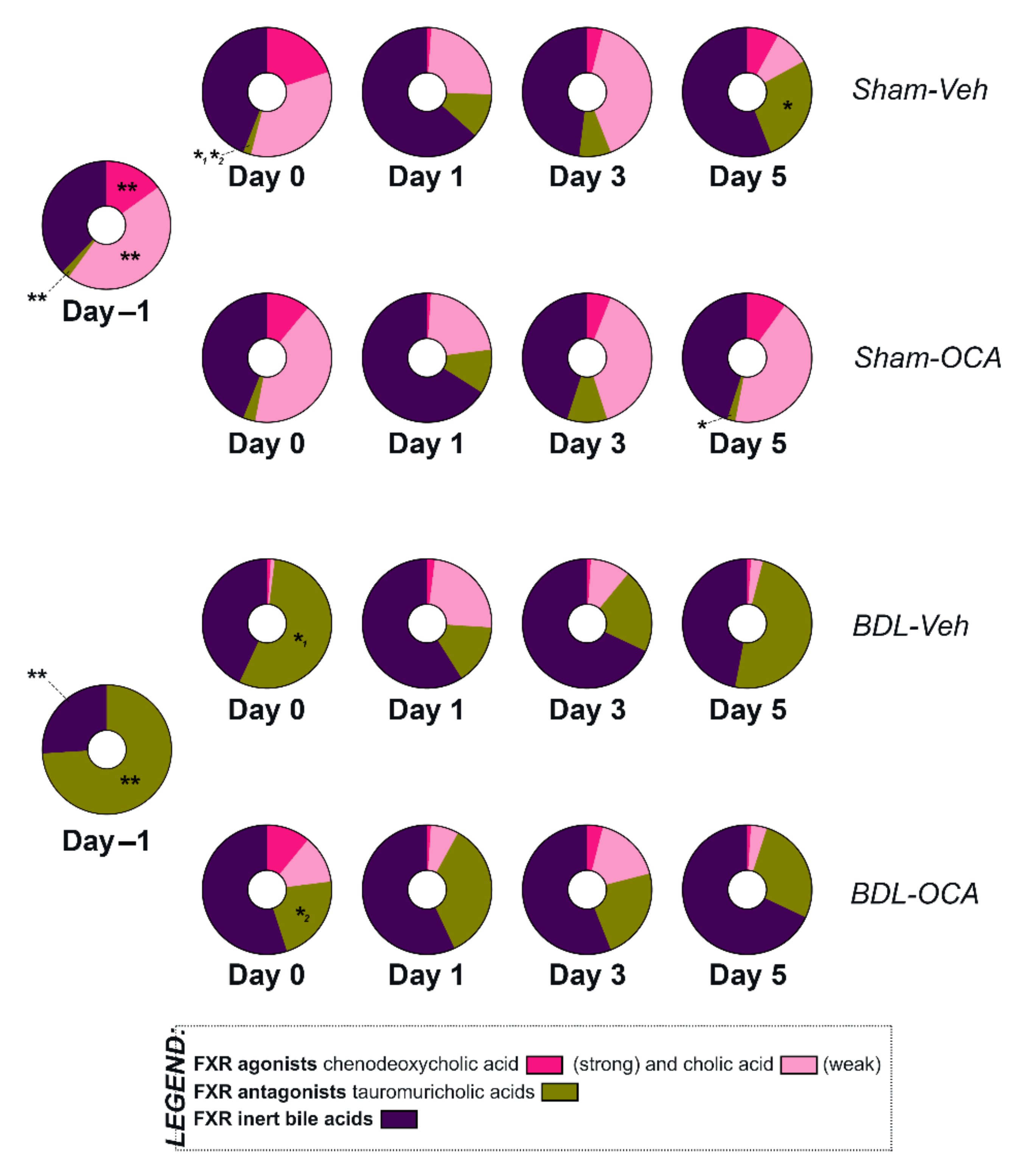 Biomolecules 11 00260 g007 Biomolecules 11 00260 g007
