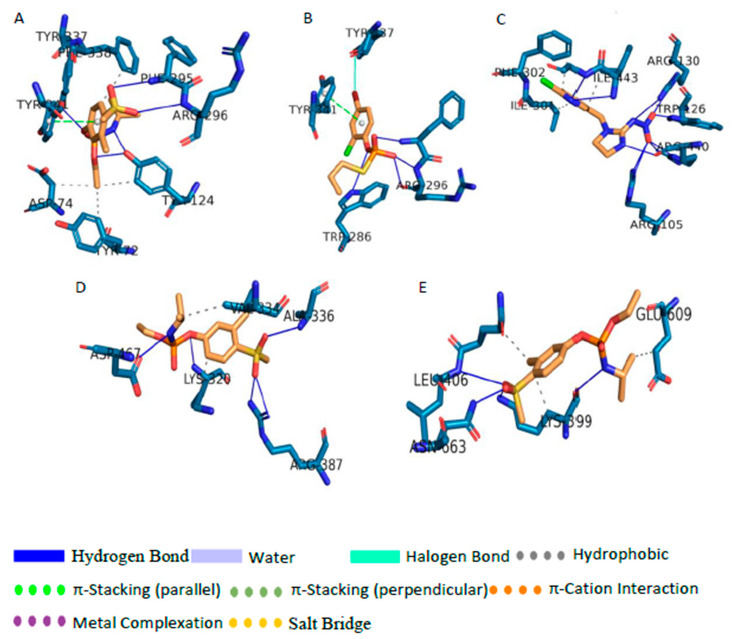 Biomolecules 11 00261 g002 Biomolecules 11 00261 g002