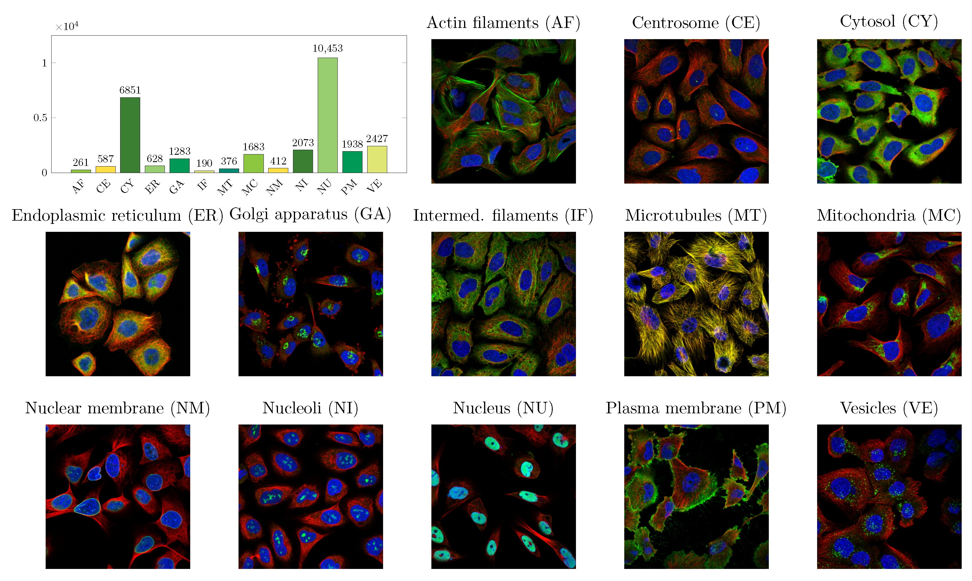 Biomolecules 11 00264 g001