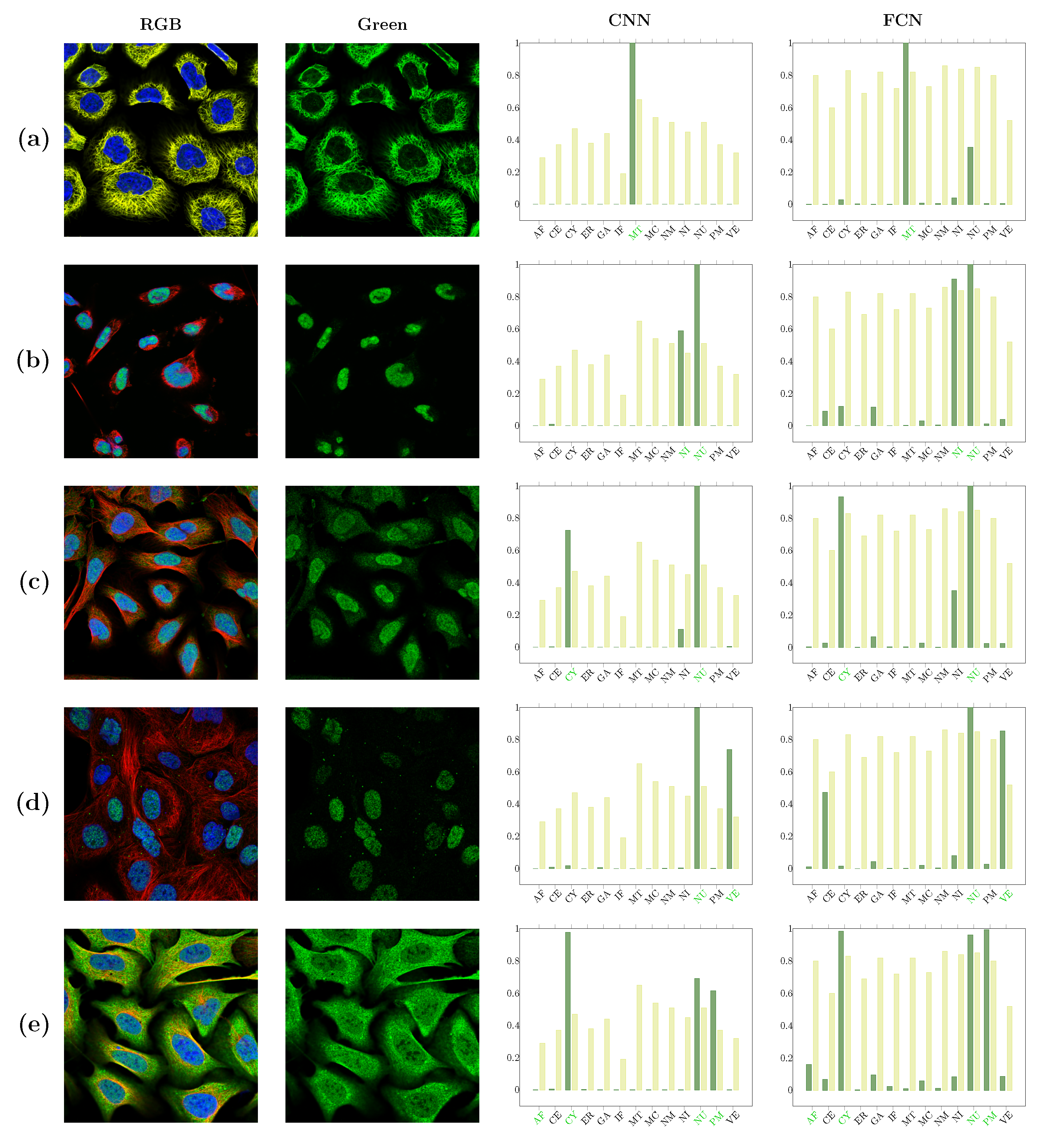 Biomolecules 11 00264 g005