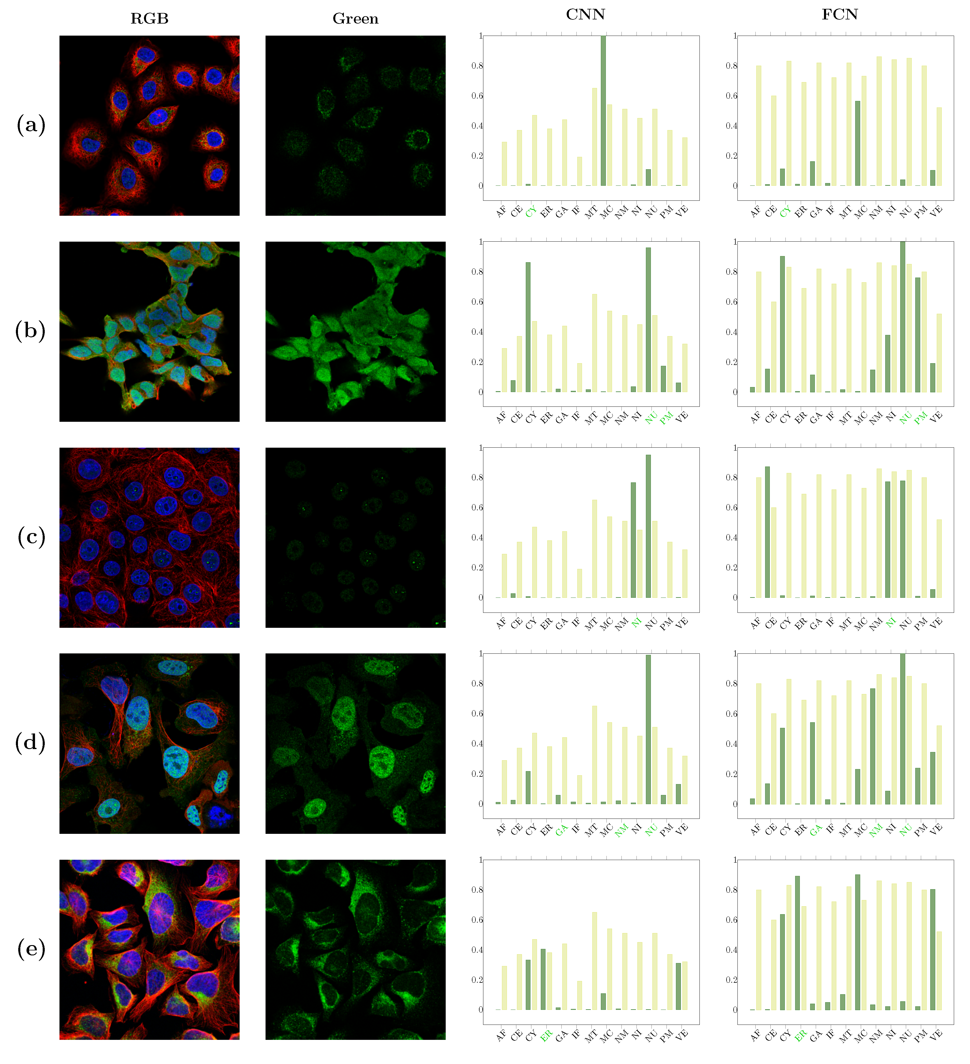 Biomolecules 11 00264 g006