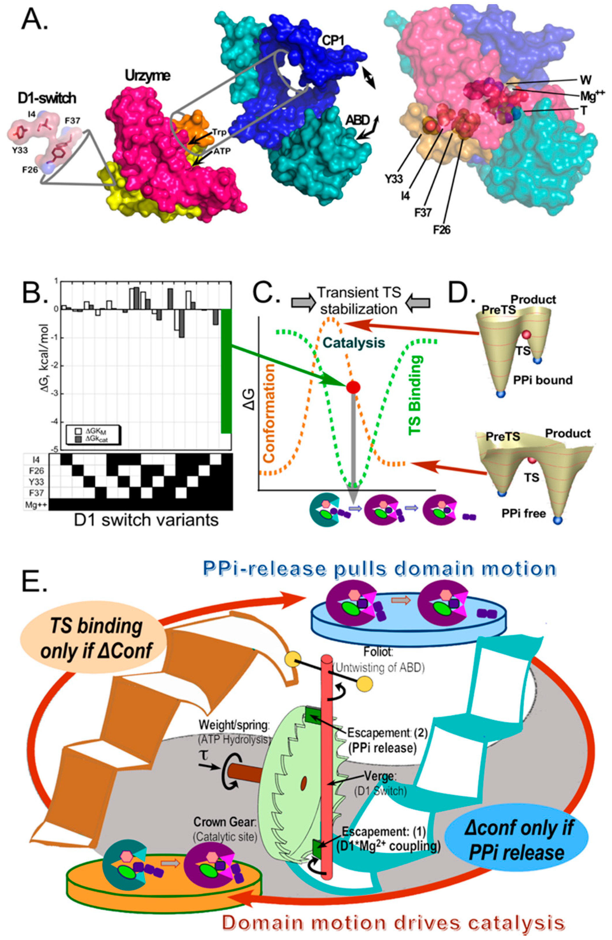 Biomolecules 11 00265 g002