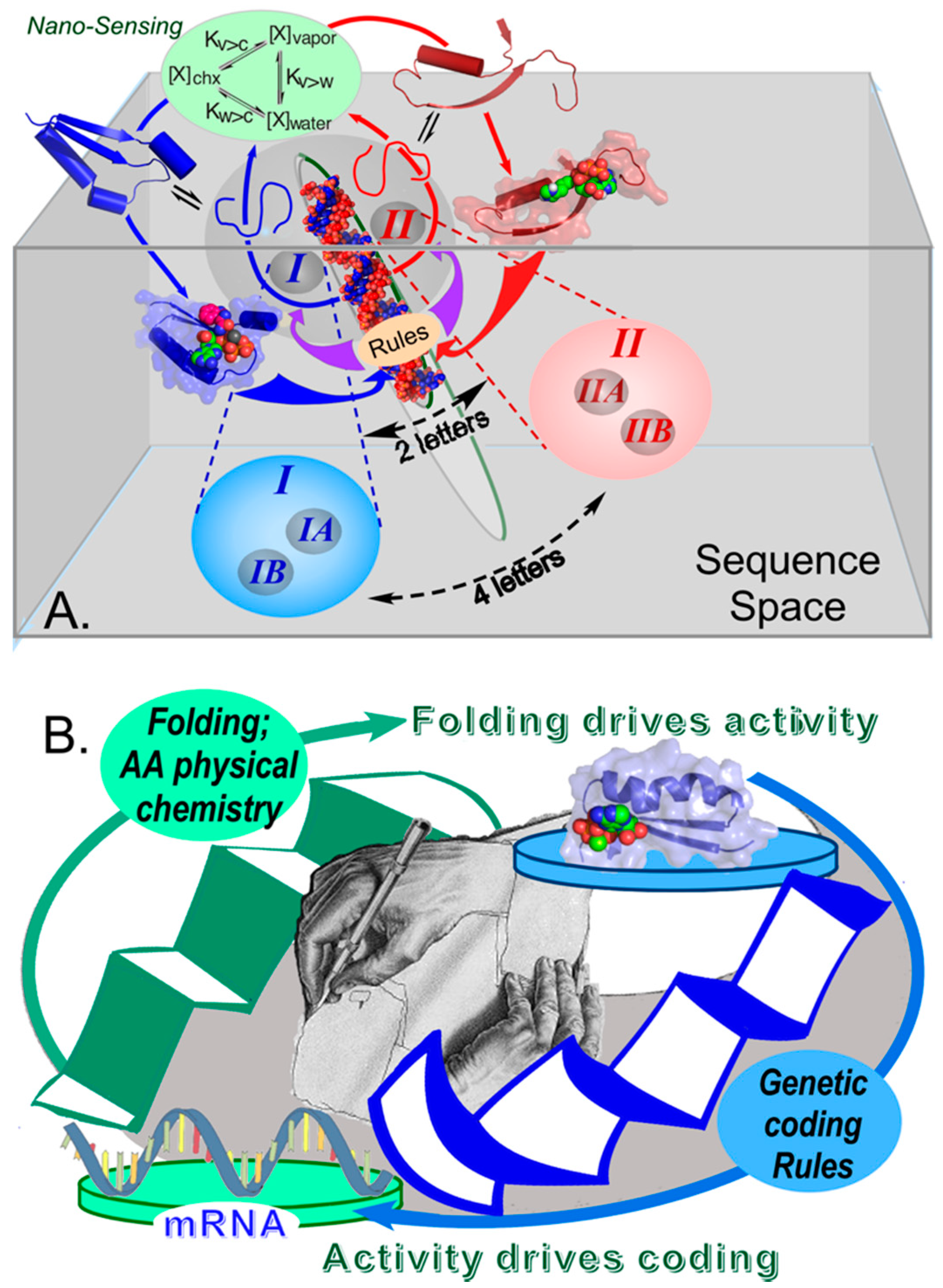 Biomolecules 11 00265 g003