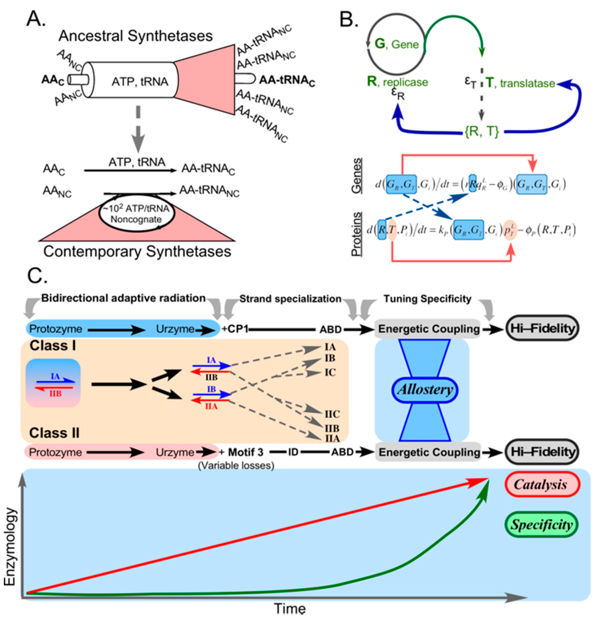 Biomolecules 11 00265 g006