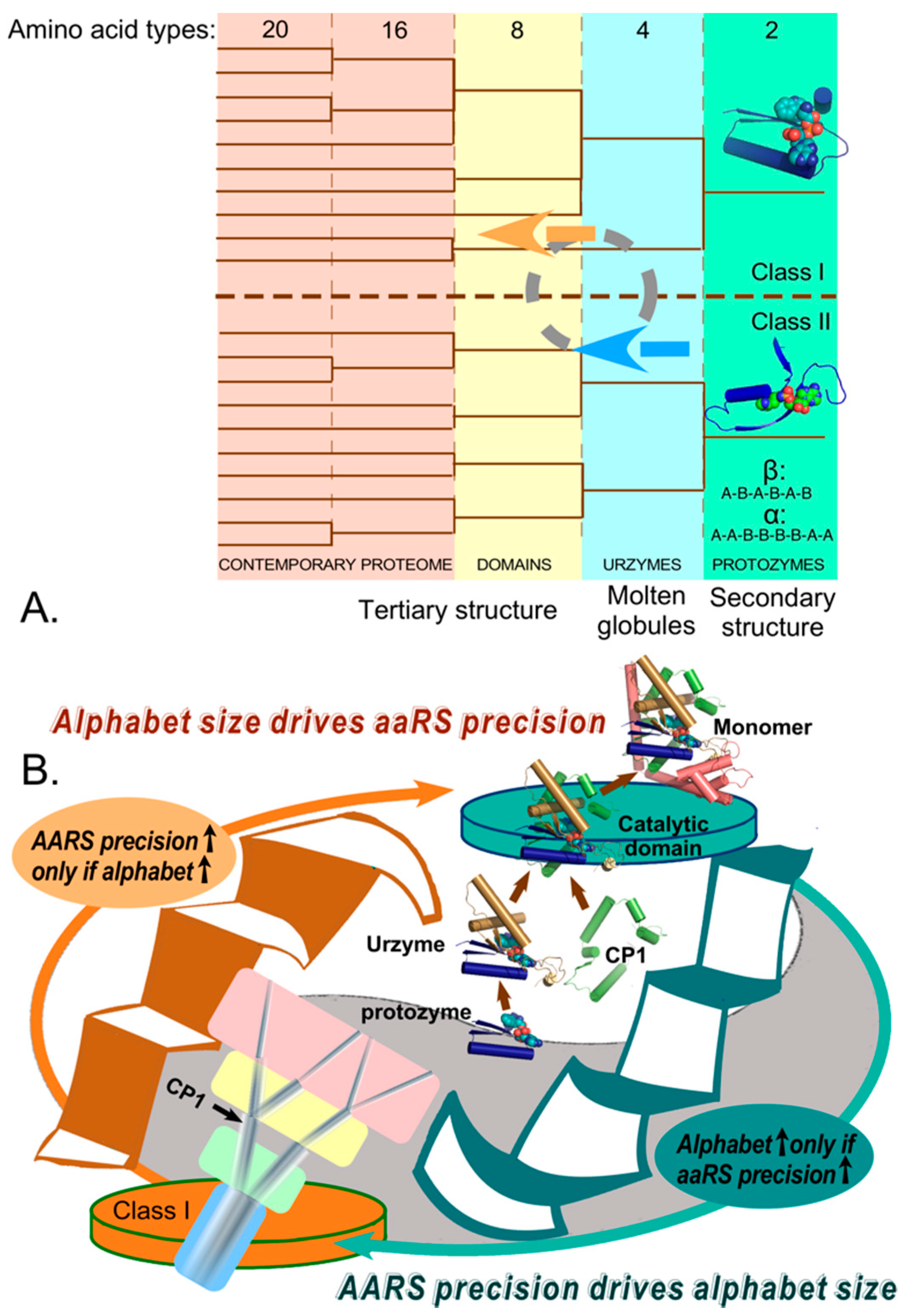 Biomolecules 11 00265 g007