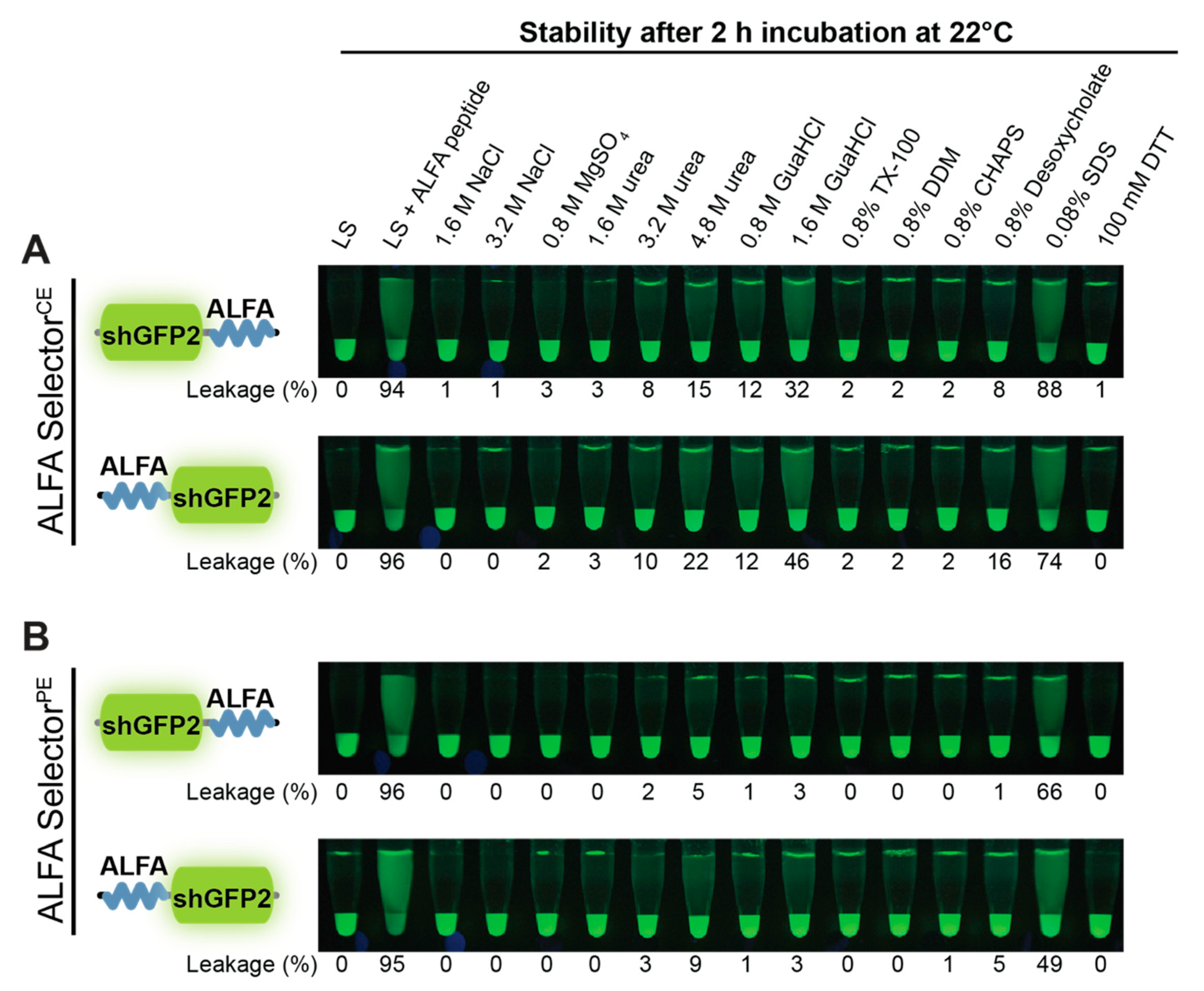 Biomolecules 11 00269 g004