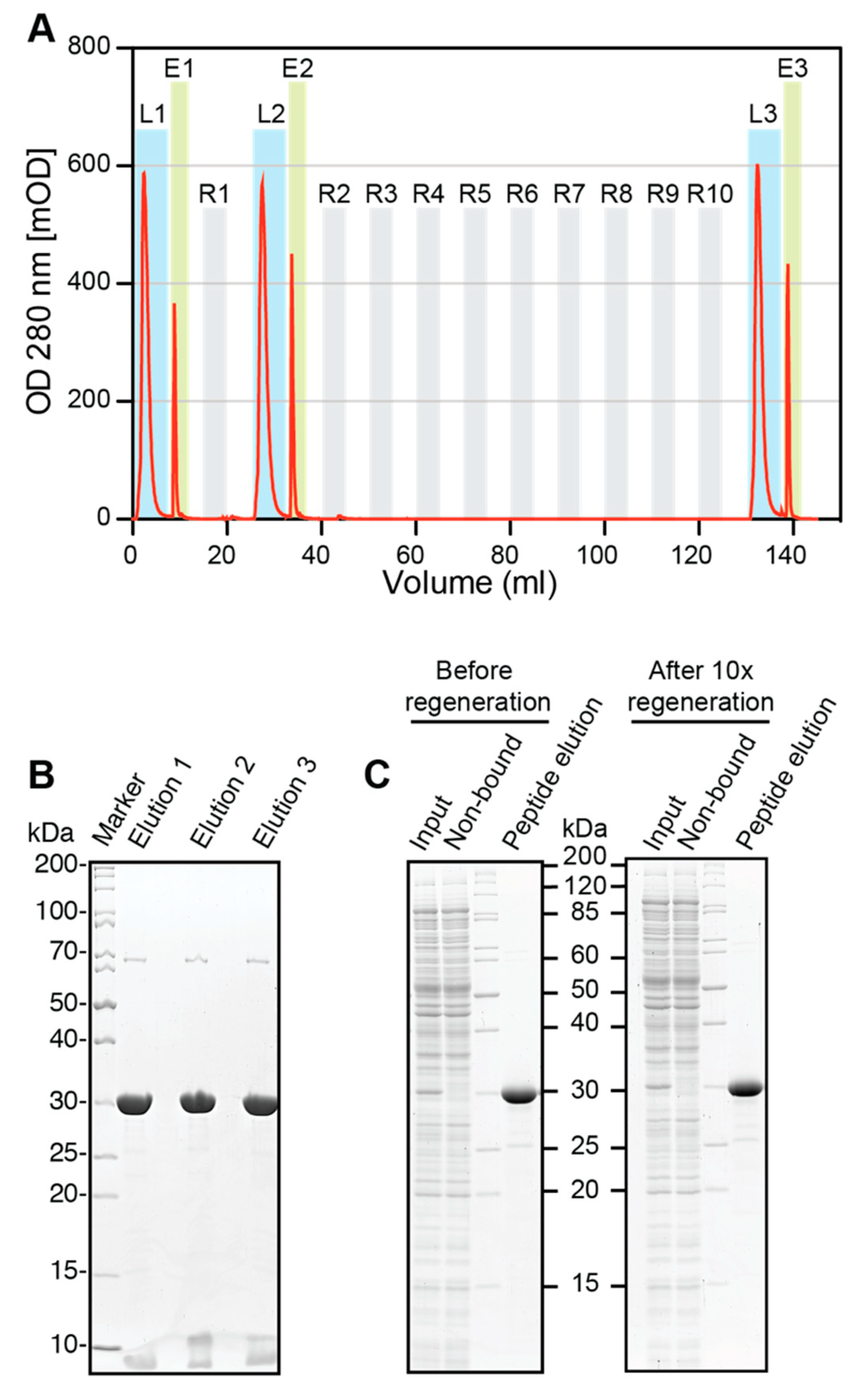 Biomolecules 11 00269 g005