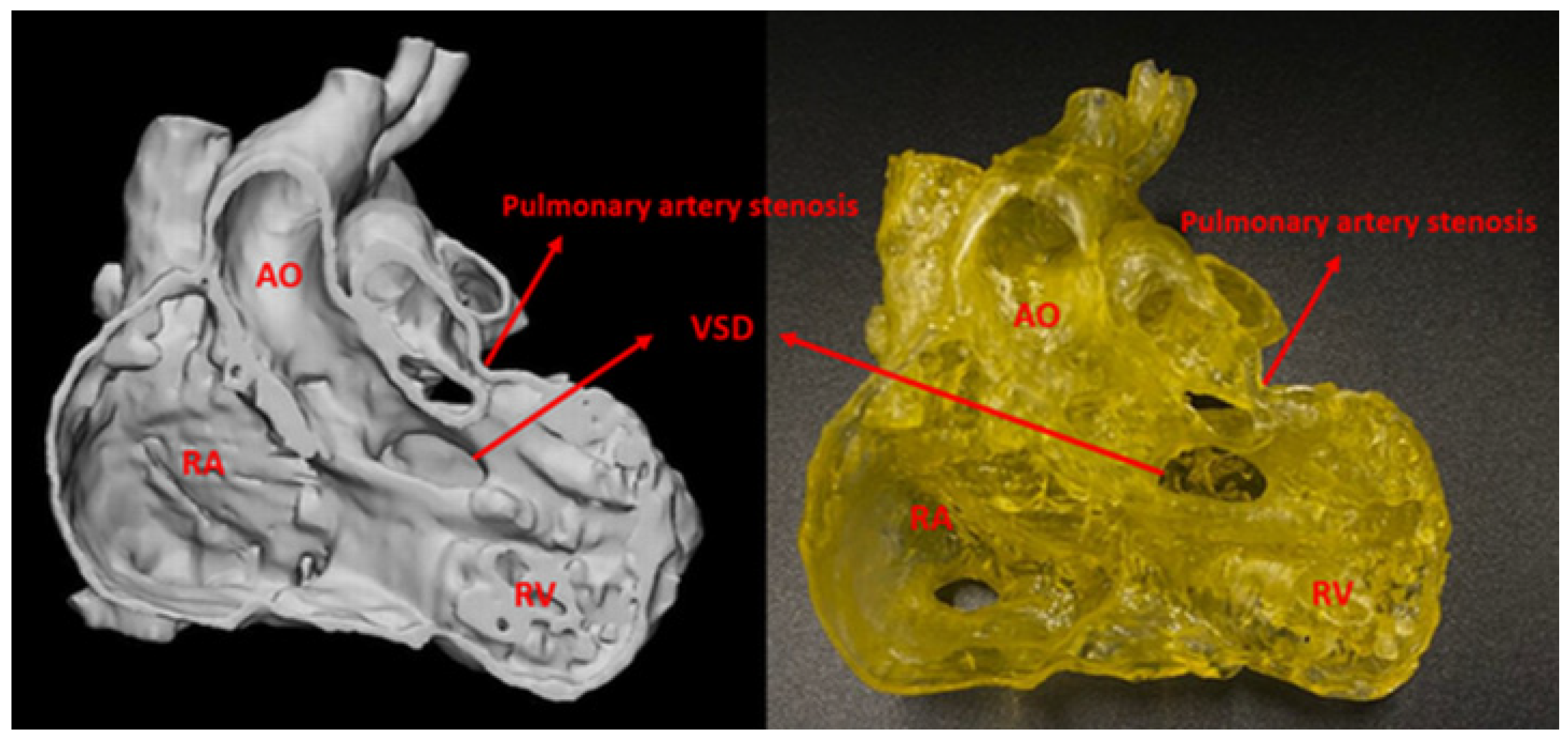 Biomolecules 11 00270 g002 Biomolecules 11 00270 g002