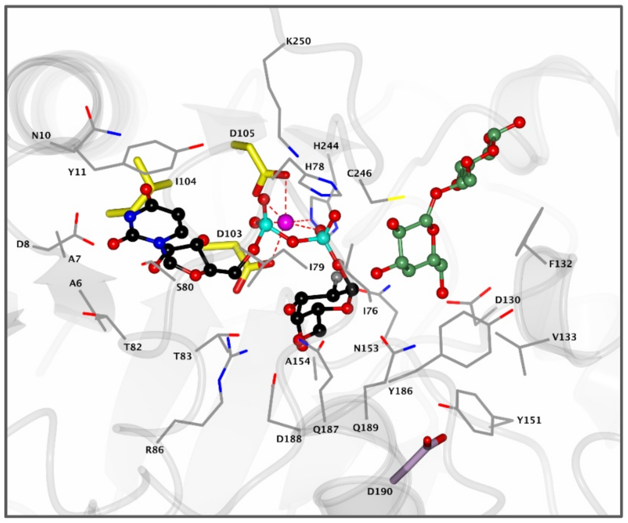 Biomolecules 11 00271 g004 Biomolecules 11 00271 g004