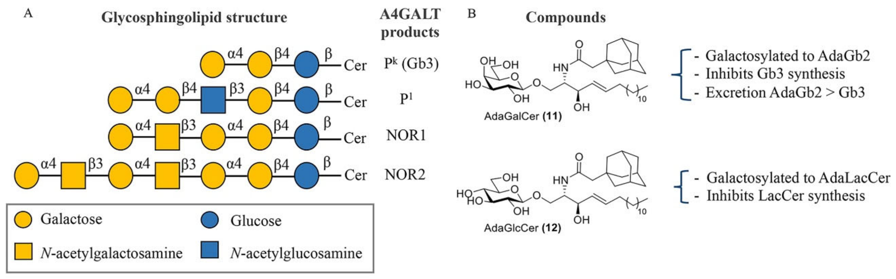 Biomolecules 11 00271 g006 Biomolecules 11 00271 g006