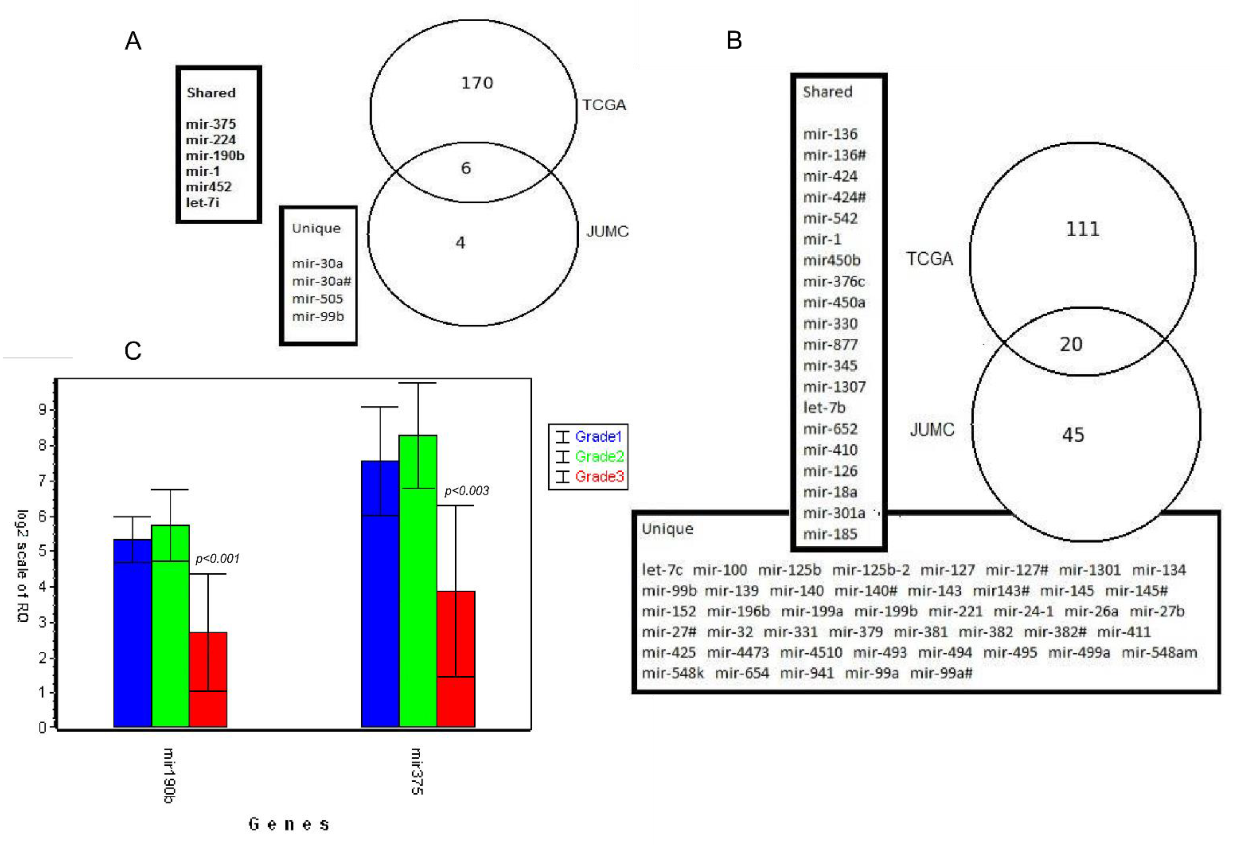 Biomolecules 11 00274 g002