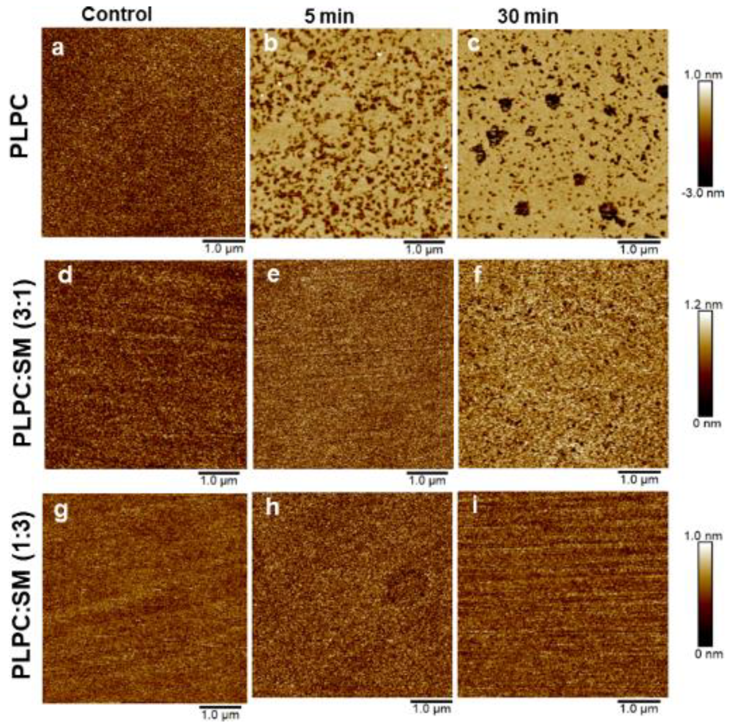 Biomolecules 11 00276 g006 Biomolecules 11 00276 g006