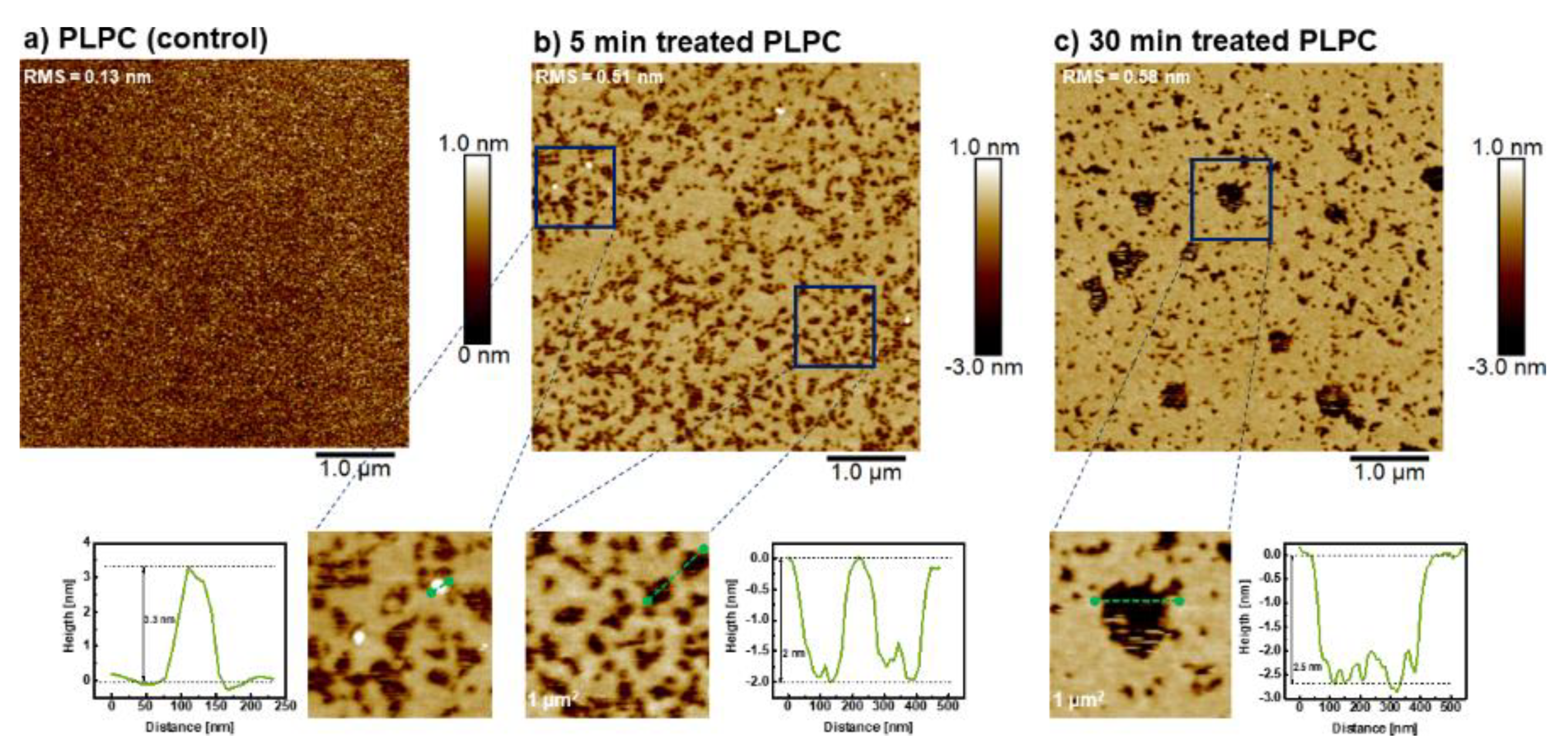 Biomolecules 11 00276 g007 Biomolecules 11 00276 g007