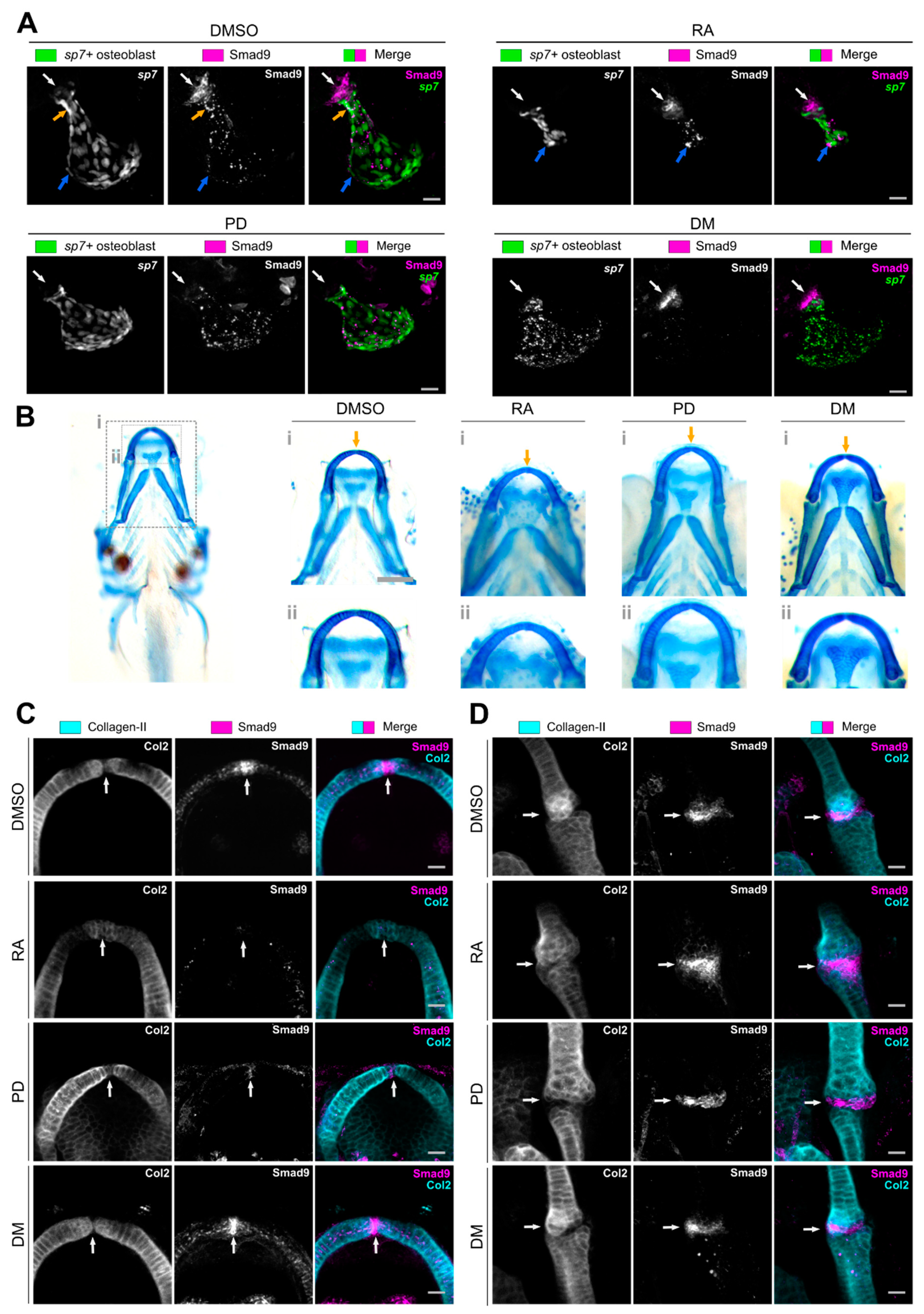 Biomolecules 11 00277 g003