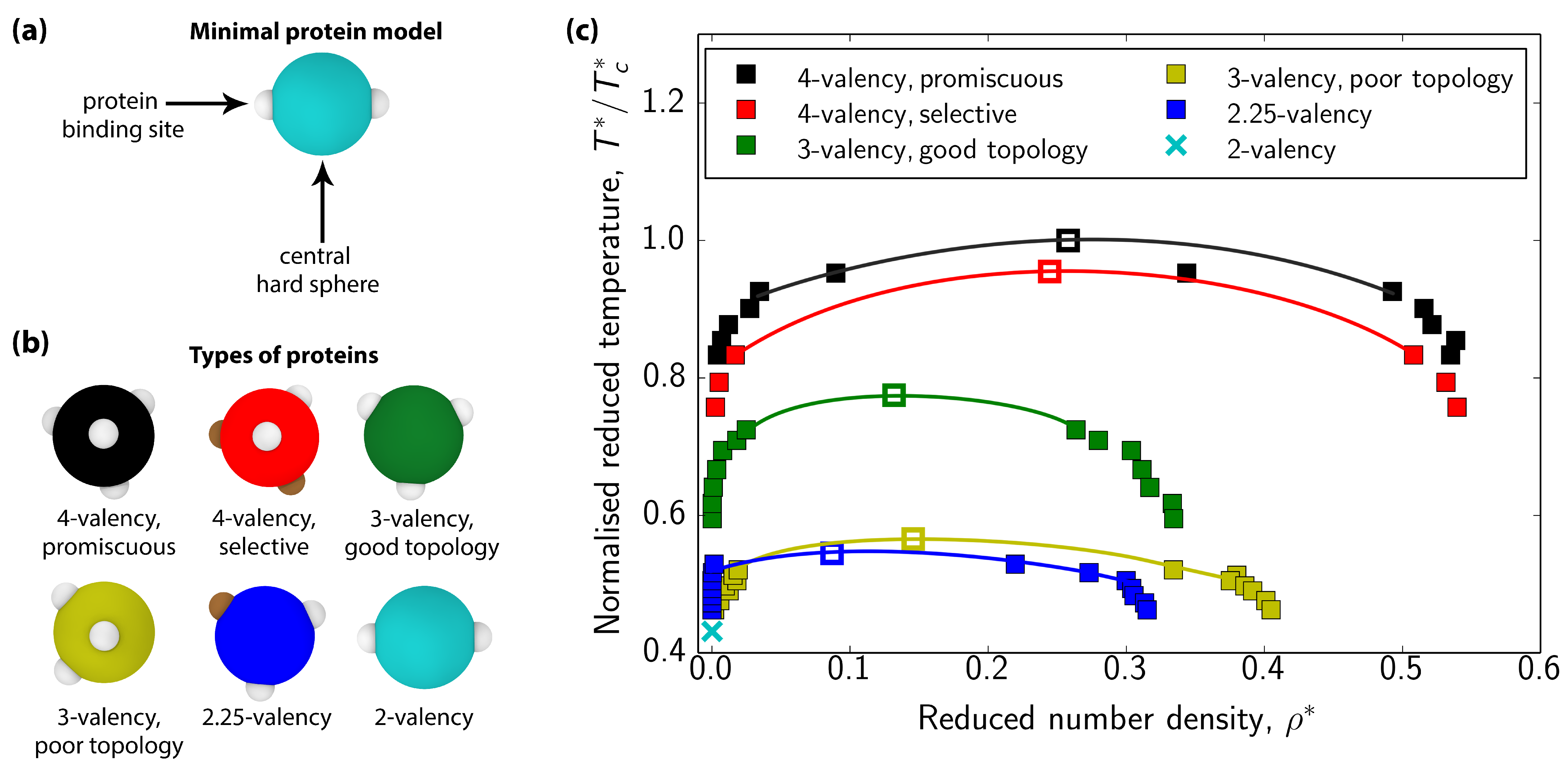 Biomolecules 11 00278 g001 Biomolecules 11 00278 g001