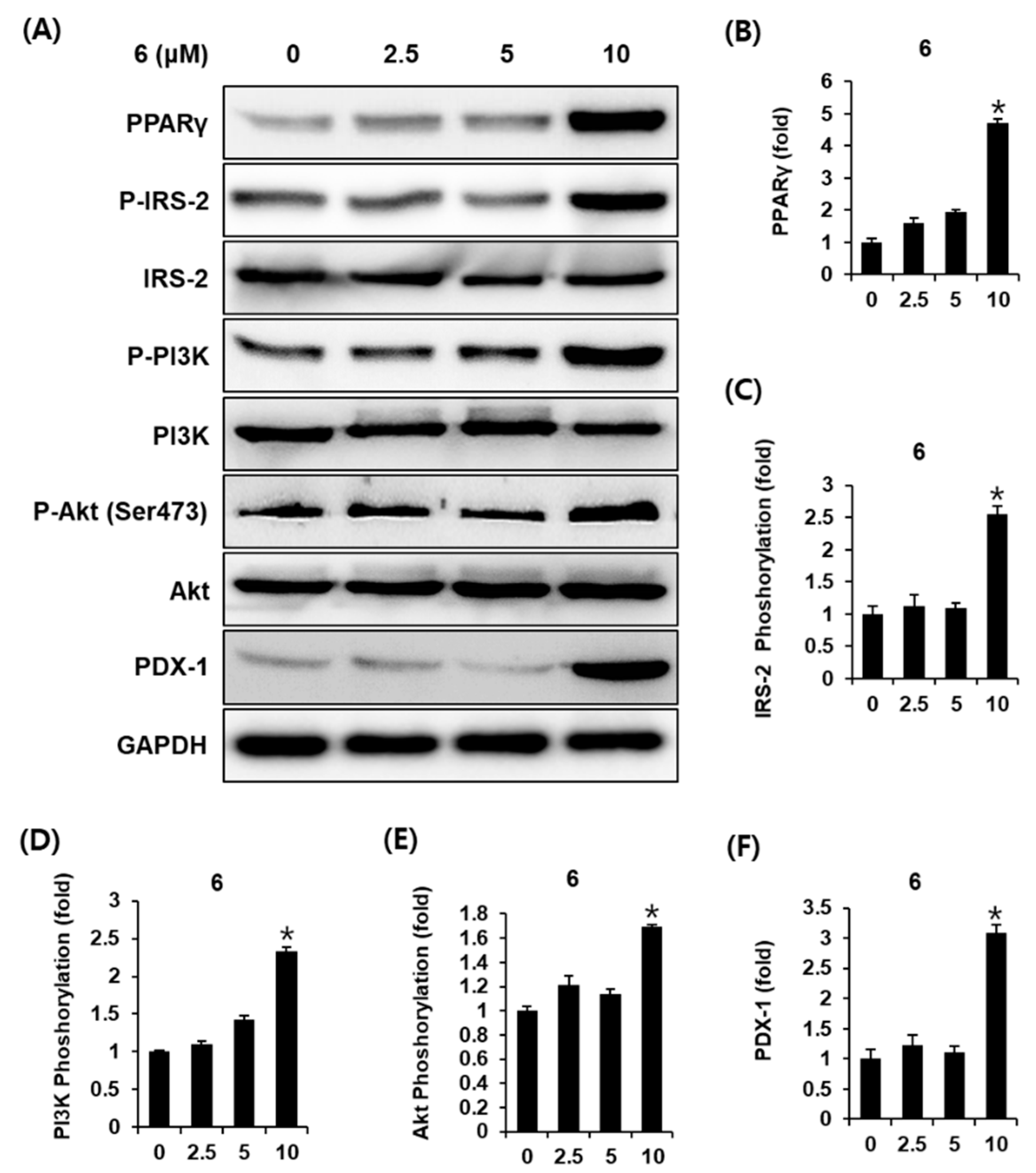 Biomolecules 11 00279 g005 Biomolecules 11 00279 g005