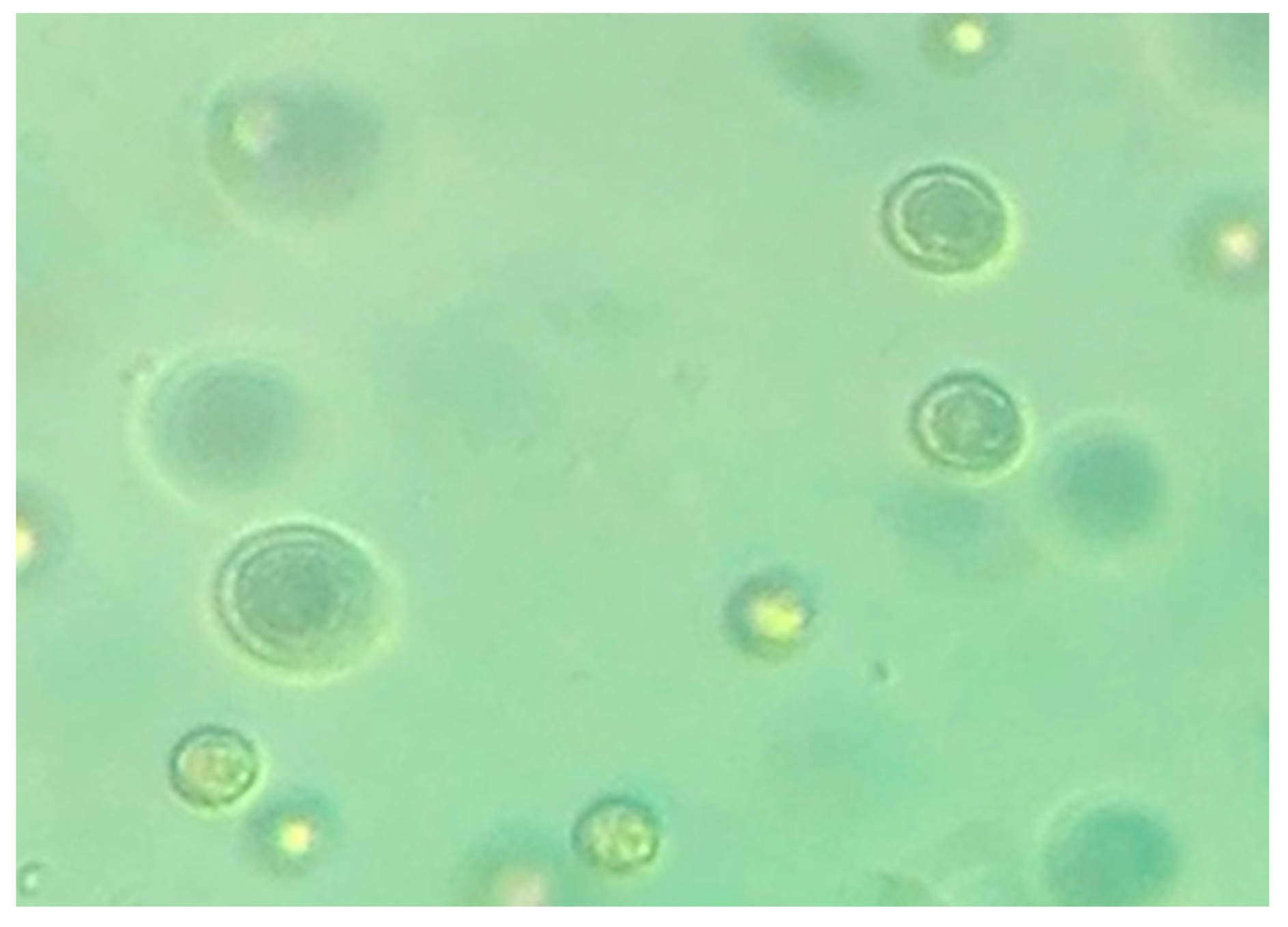 Biomolecules 11 00282 g001 Biomolecules 11 00282 g001