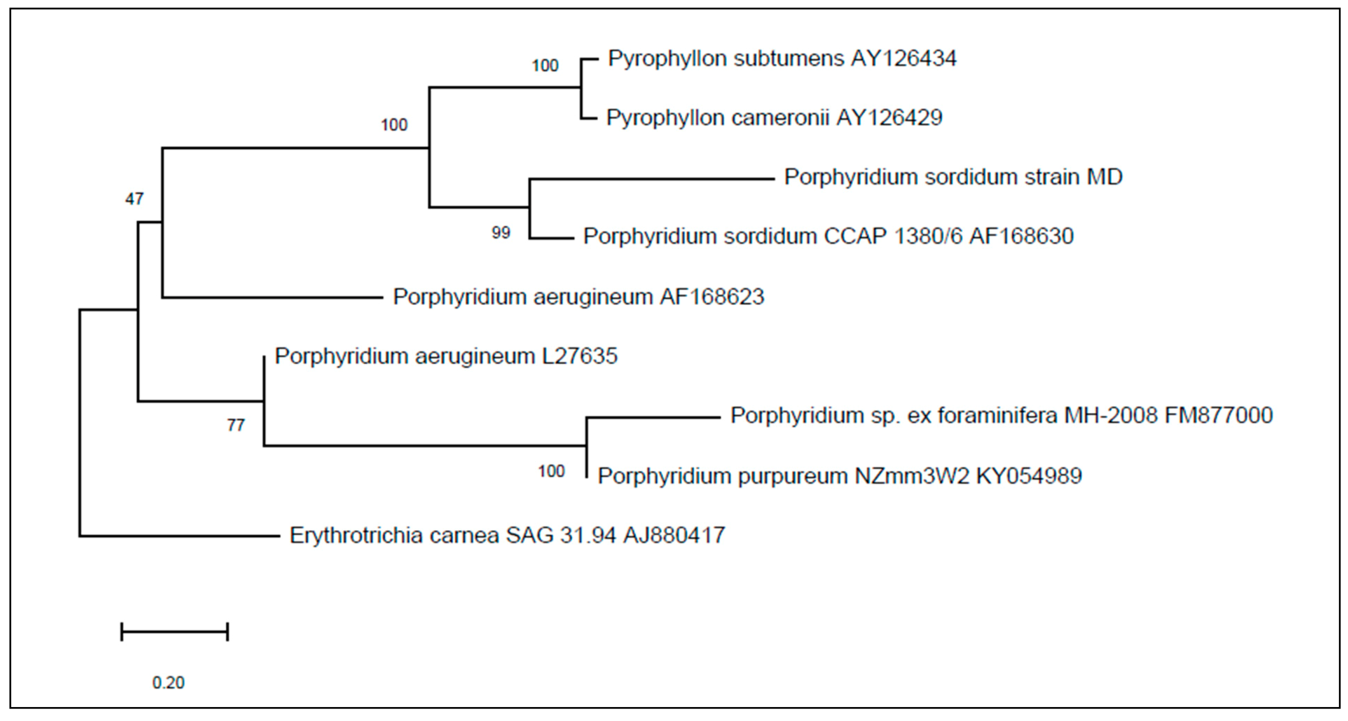 Biomolecules 11 00282 g002 Biomolecules 11 00282 g002