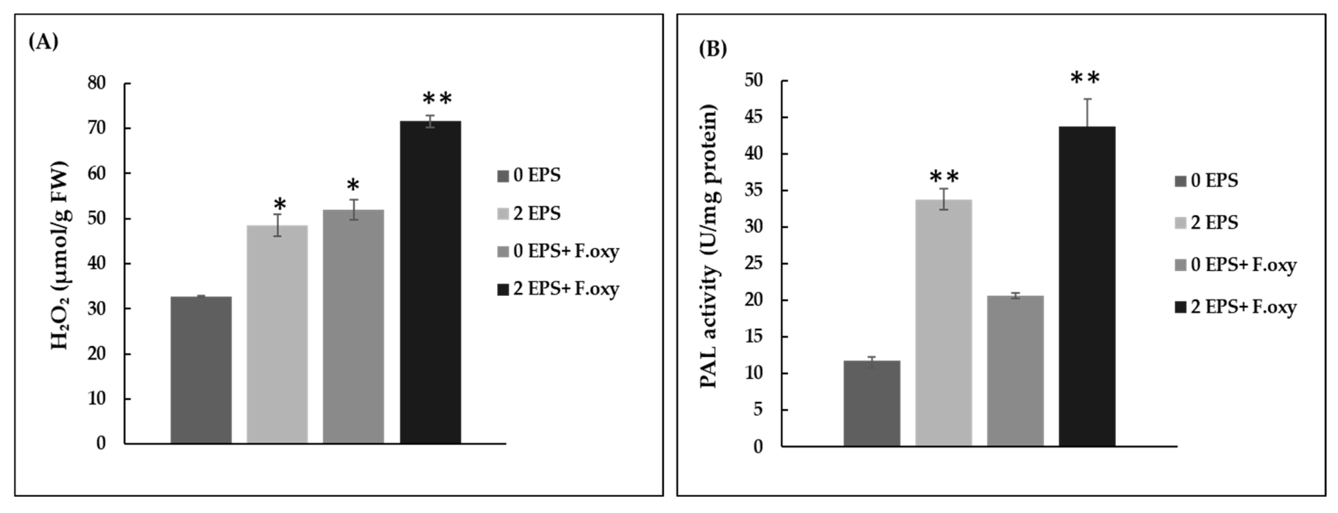 Biomolecules 11 00282 g006 Biomolecules 11 00282 g006