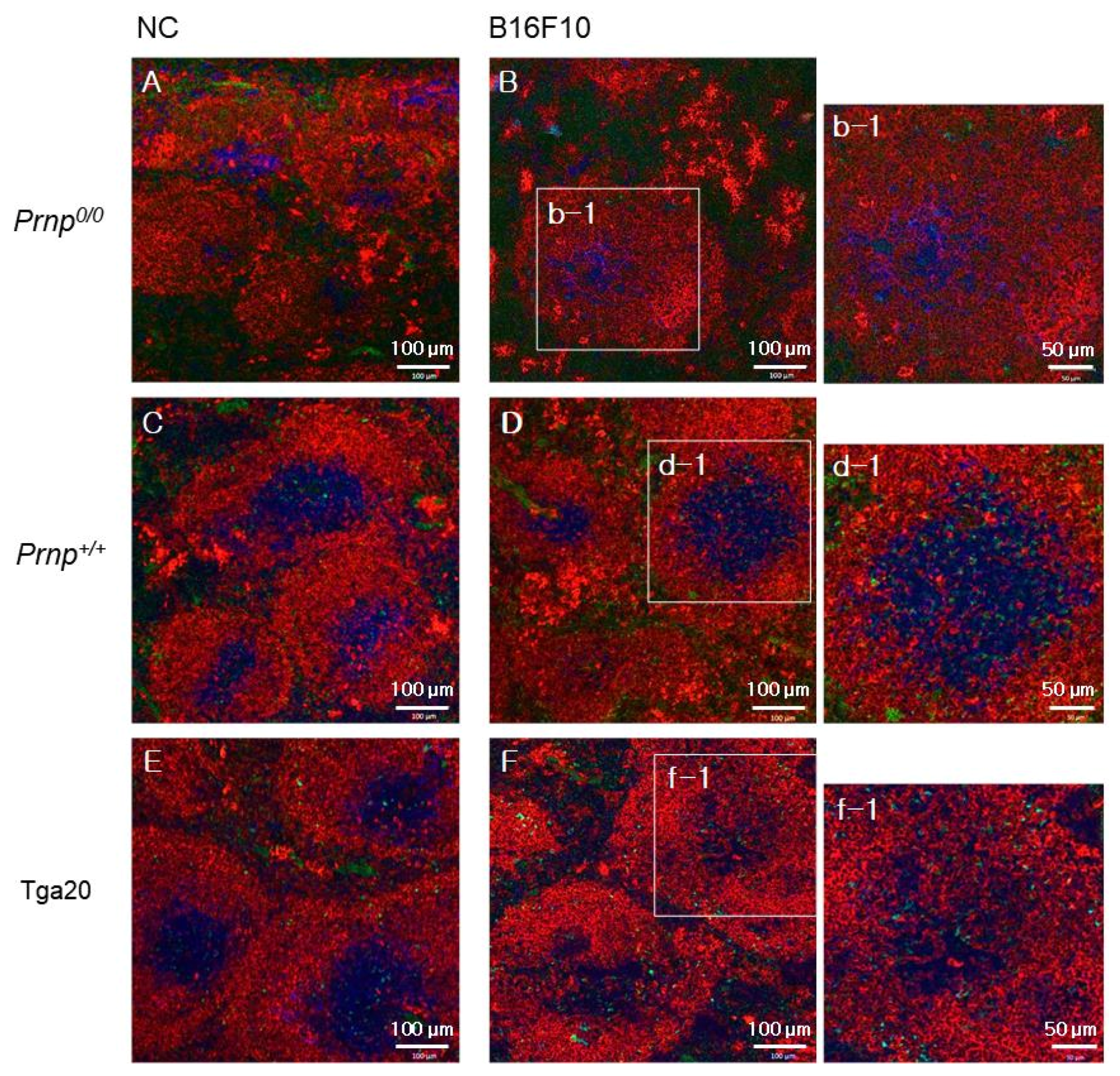 Biomolecules 11 00285 g002 Biomolecules 11 00285 g002