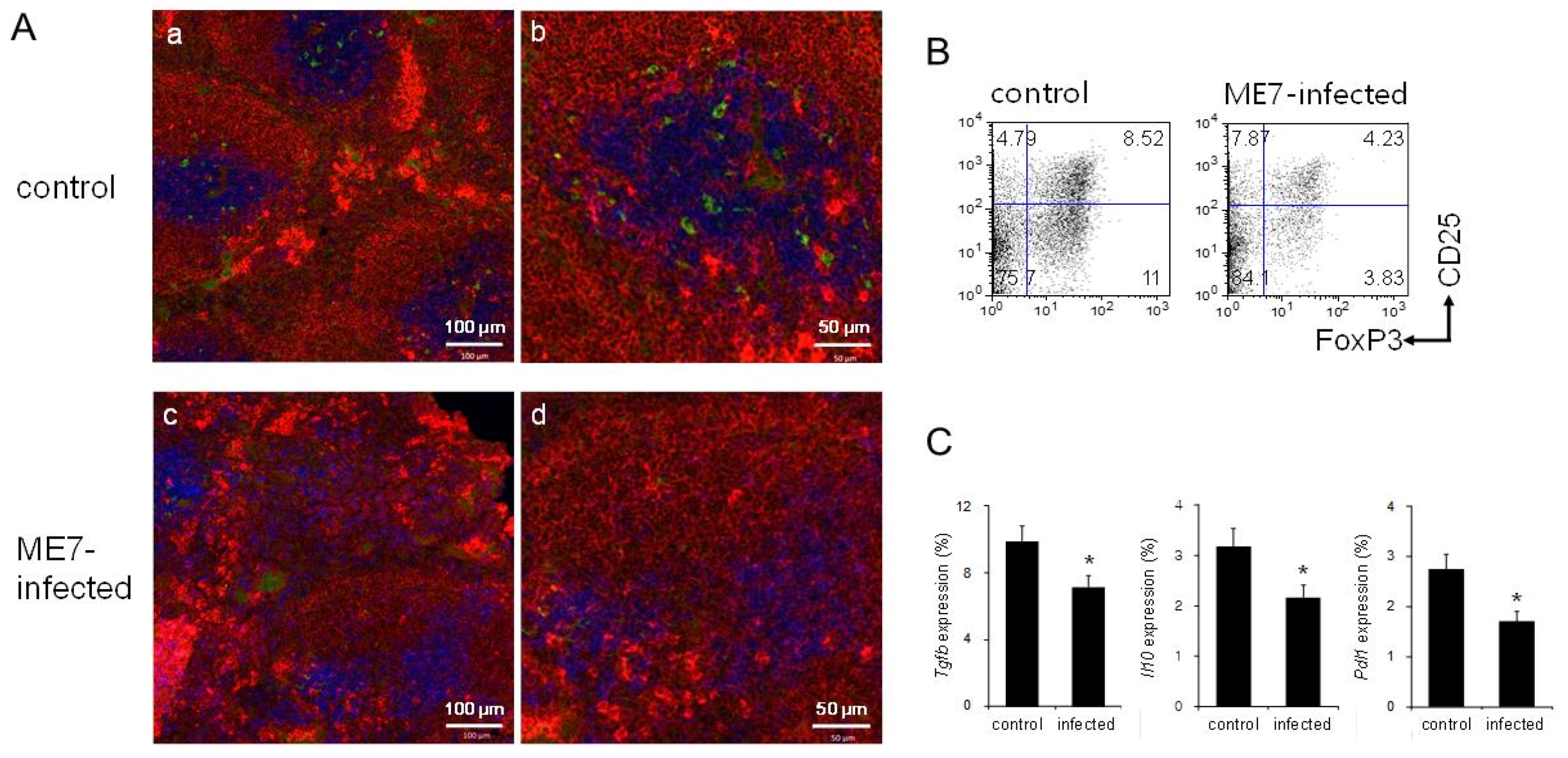 Biomolecules 11 00285 g005 Biomolecules 11 00285 g005