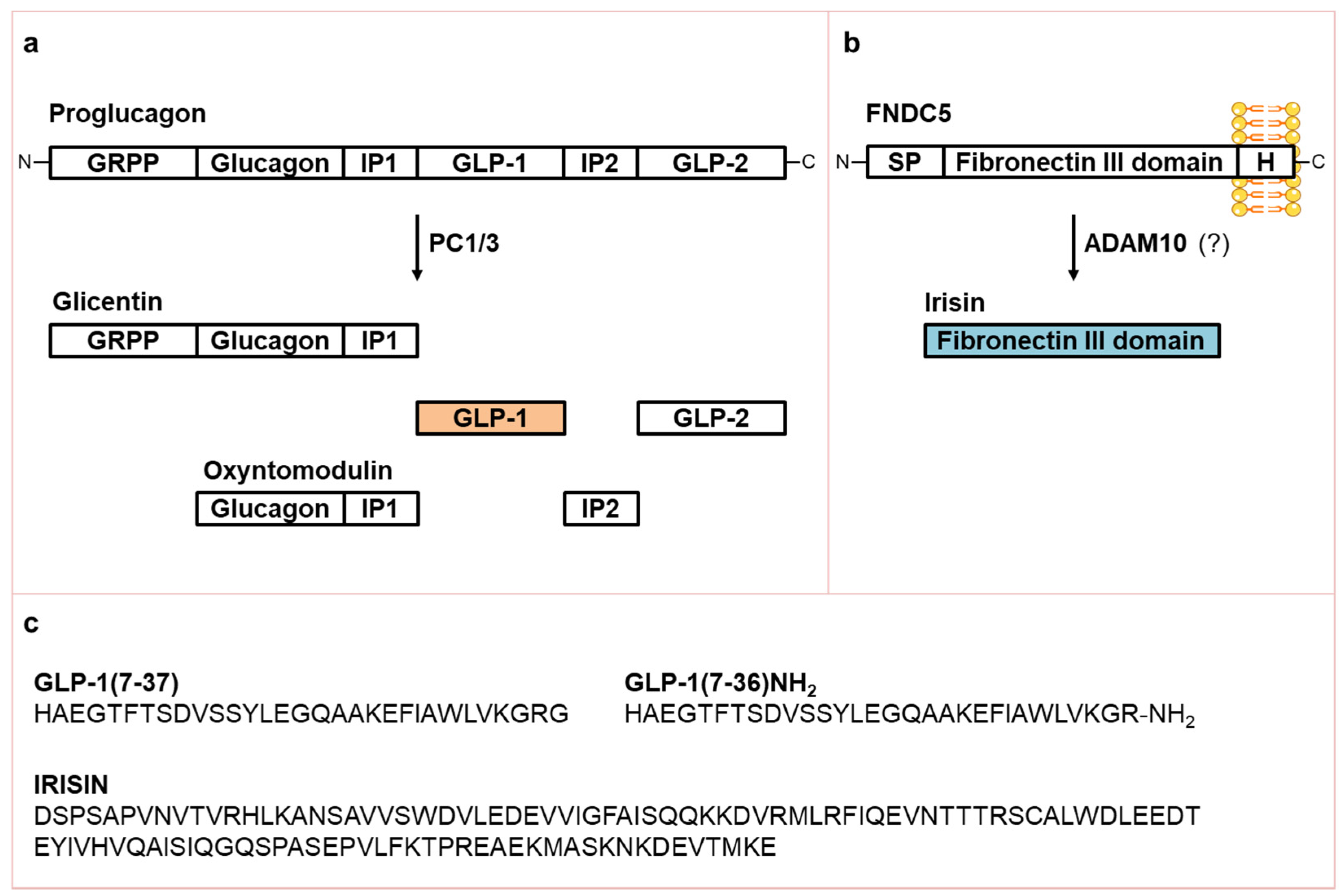 Biomolecules 11 00286 g001
