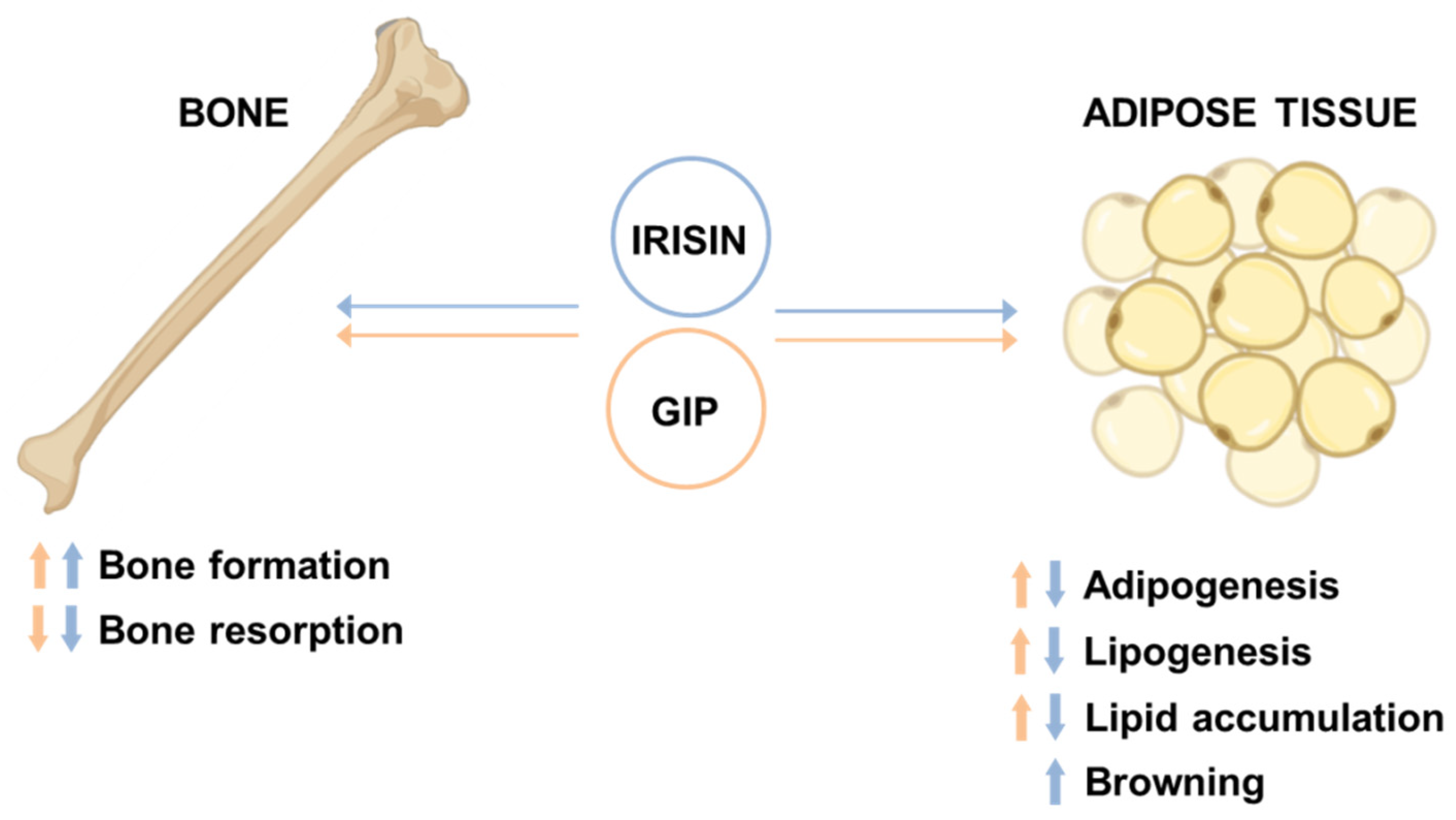 Biomolecules 11 00286 g005