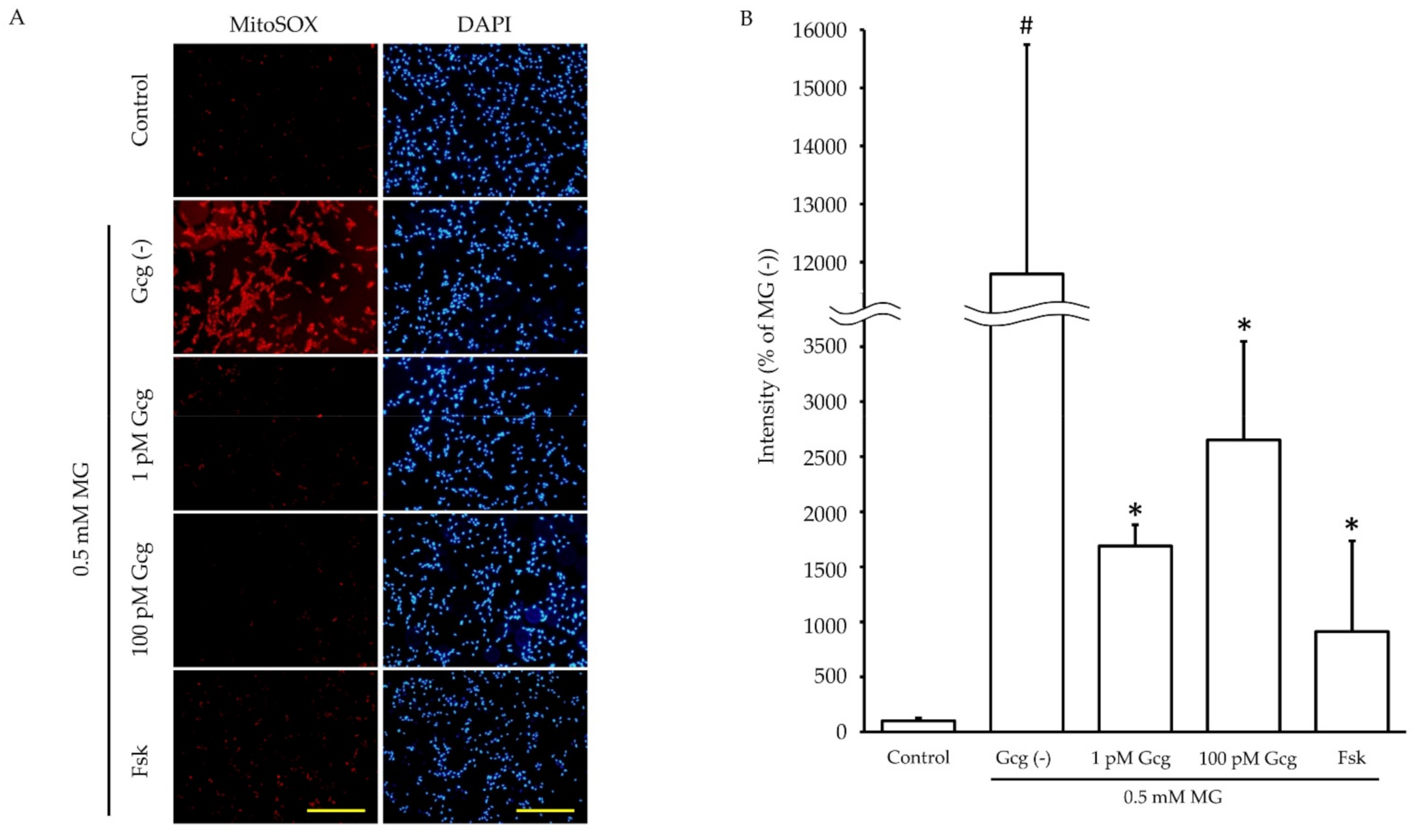 Biomolecules 11 00287 g004