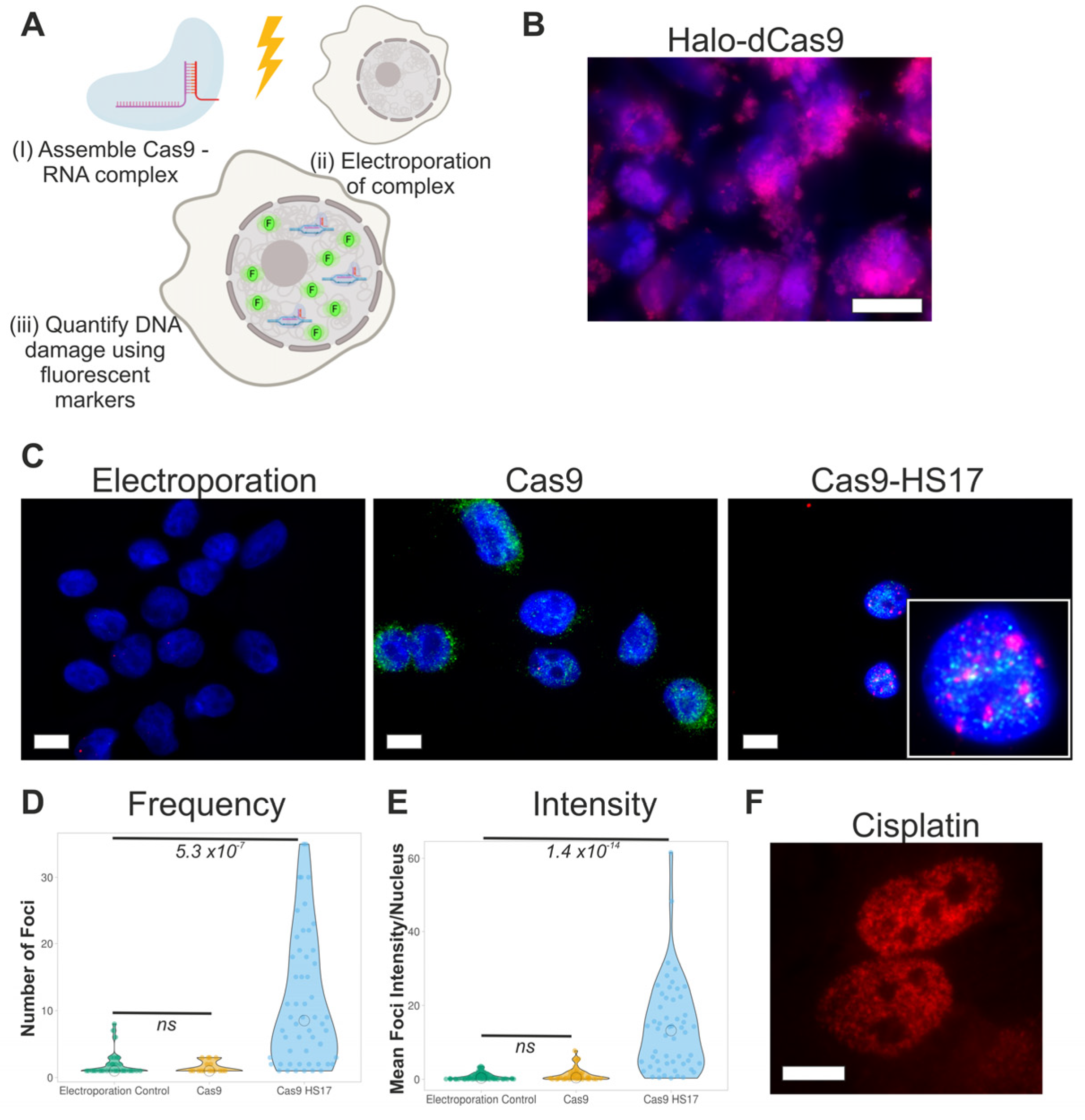 Biomolecules 11 00288 g001 Biomolecules 11 00288 g001