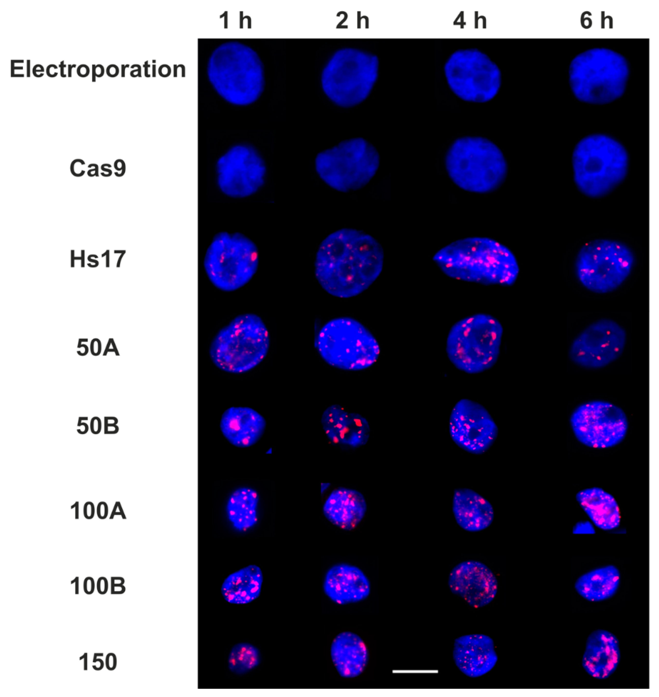 Biomolecules 11 00288 g002 Biomolecules 11 00288 g002