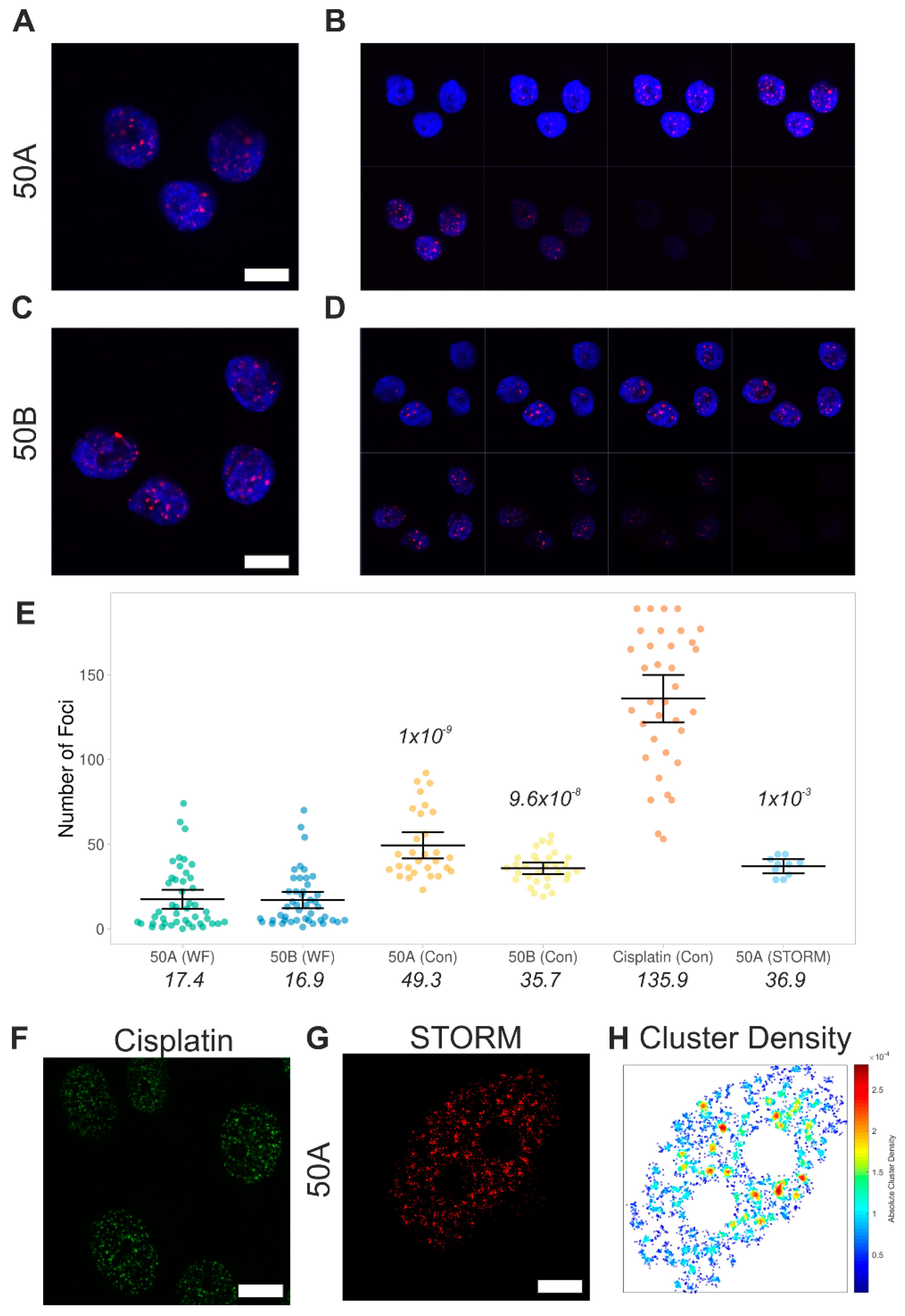 Biomolecules 11 00288 g004 Biomolecules 11 00288 g004