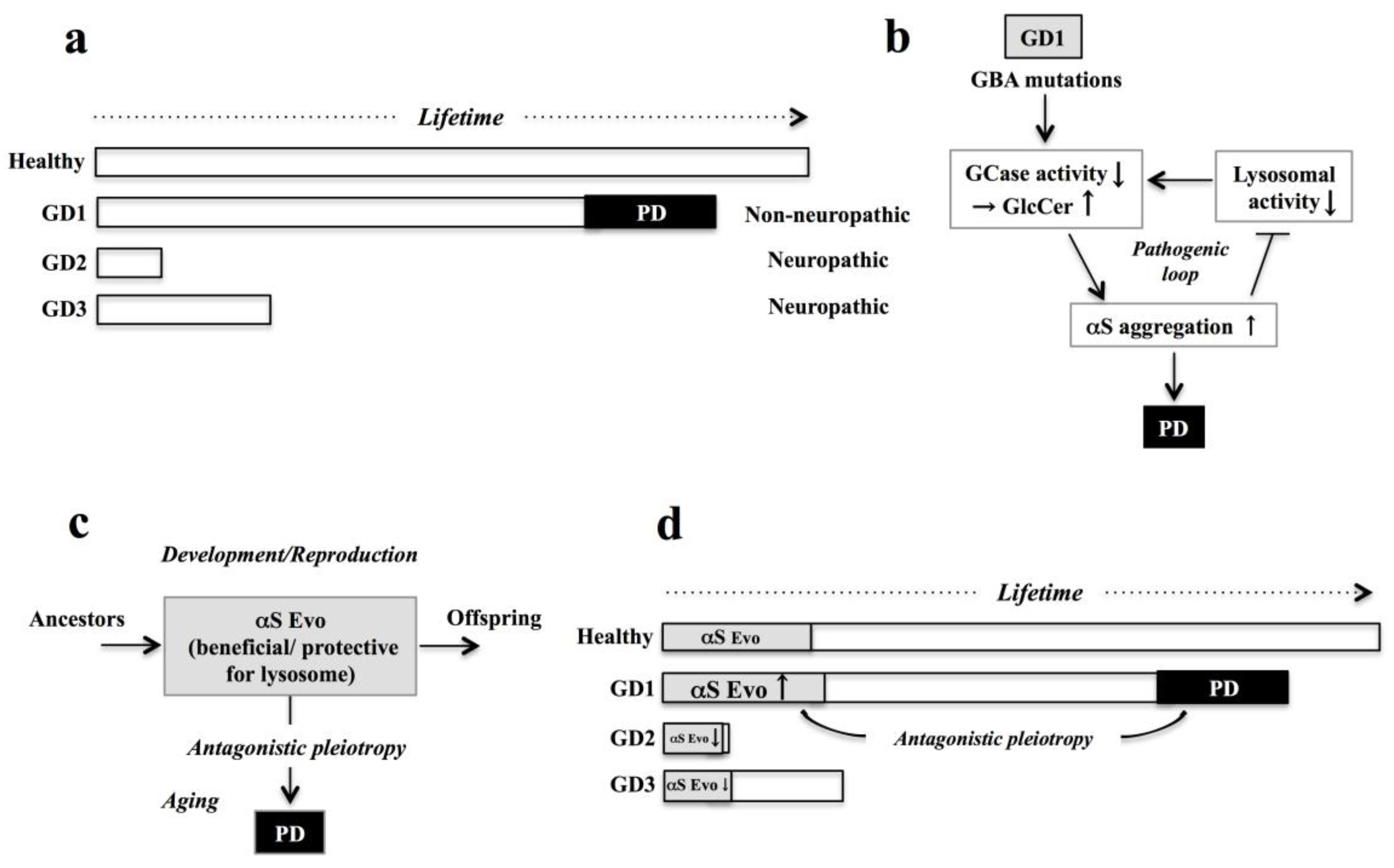 Biomolecules 11 00289 g001 Biomolecules 11 00289 g001
