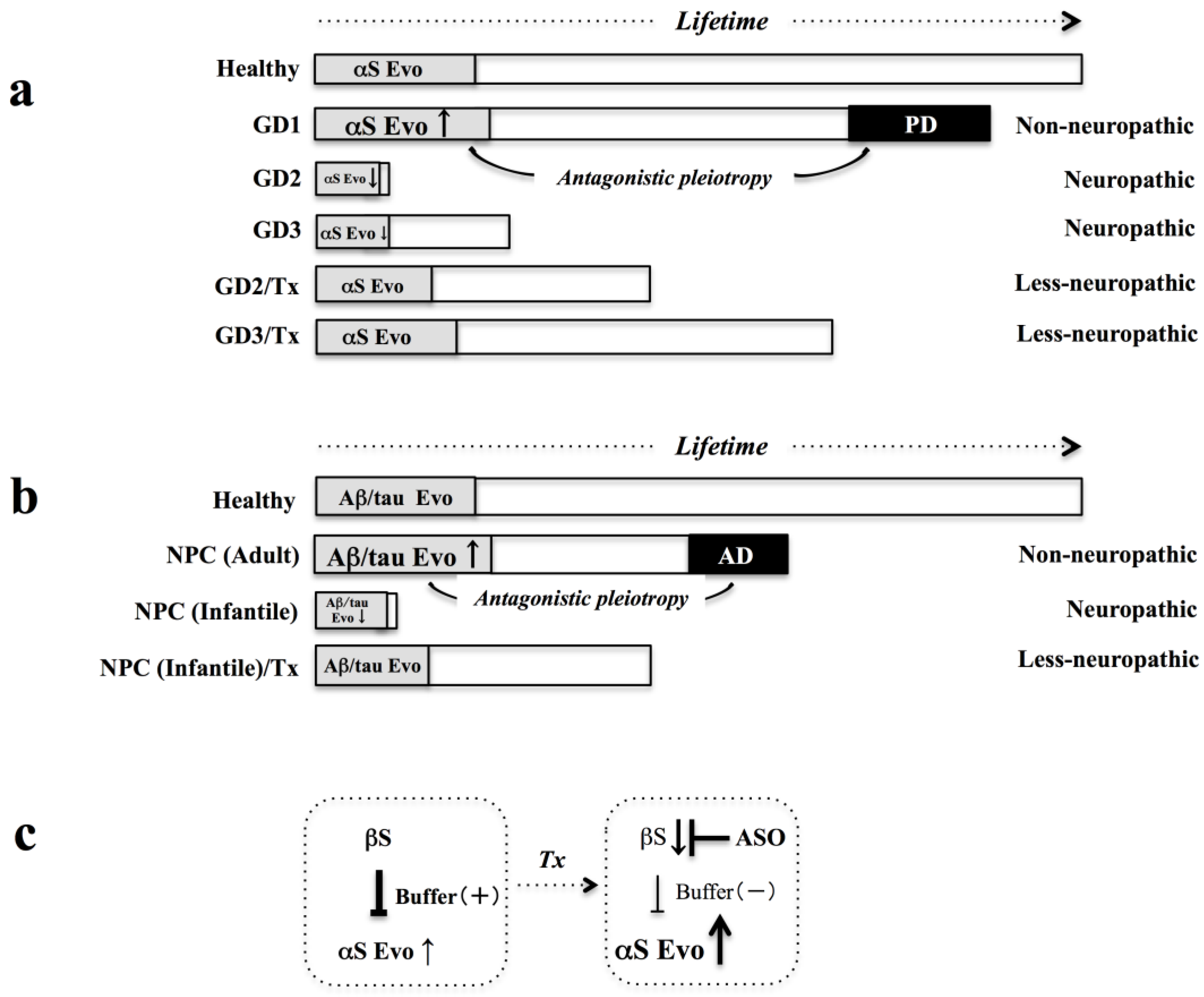 Biomolecules 11 00289 g003 Biomolecules 11 00289 g003