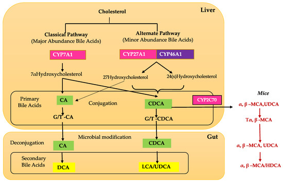 Biomolecules 11 00292 g001 550
