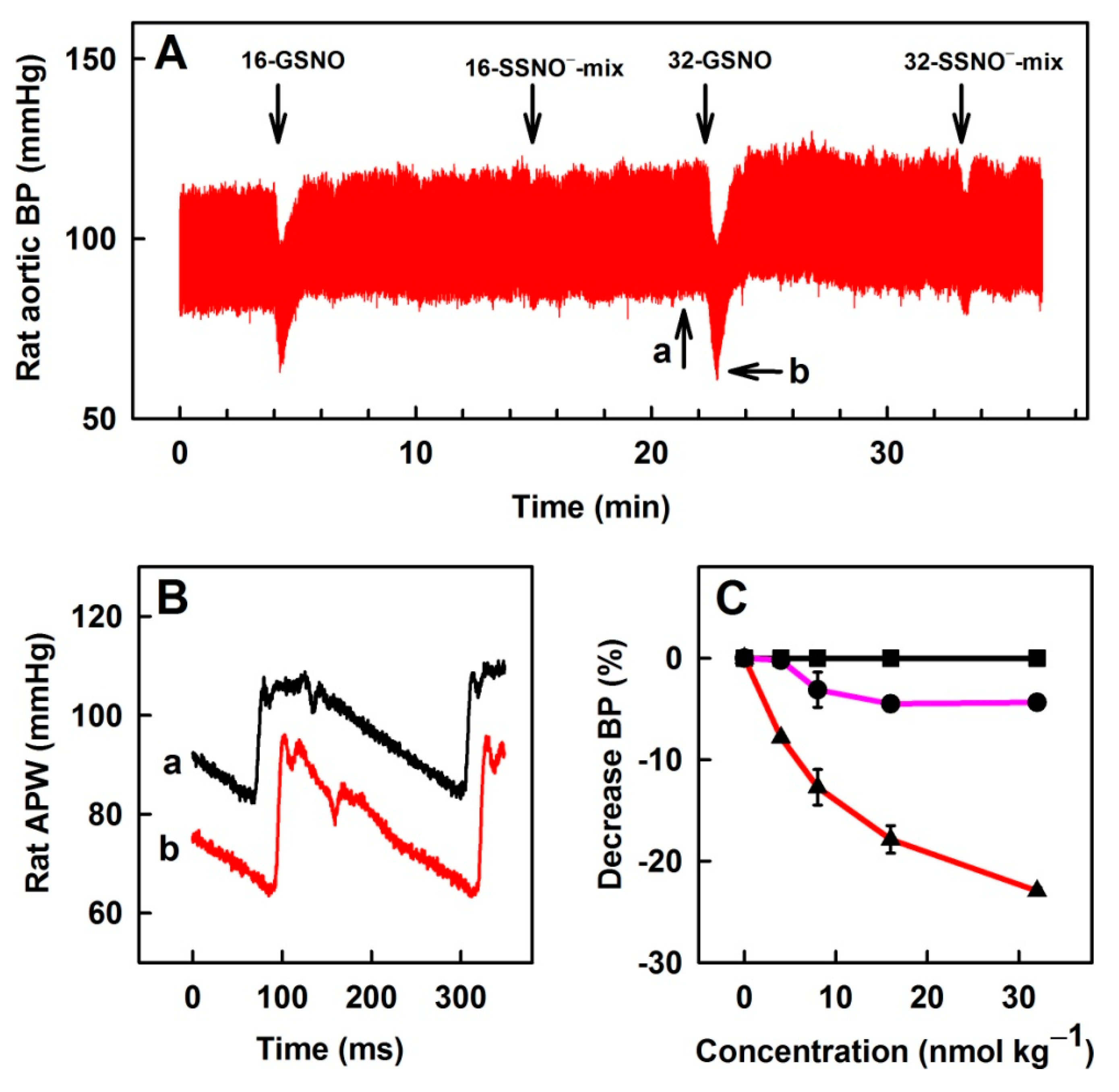 Biomolecules 11 00293 g006