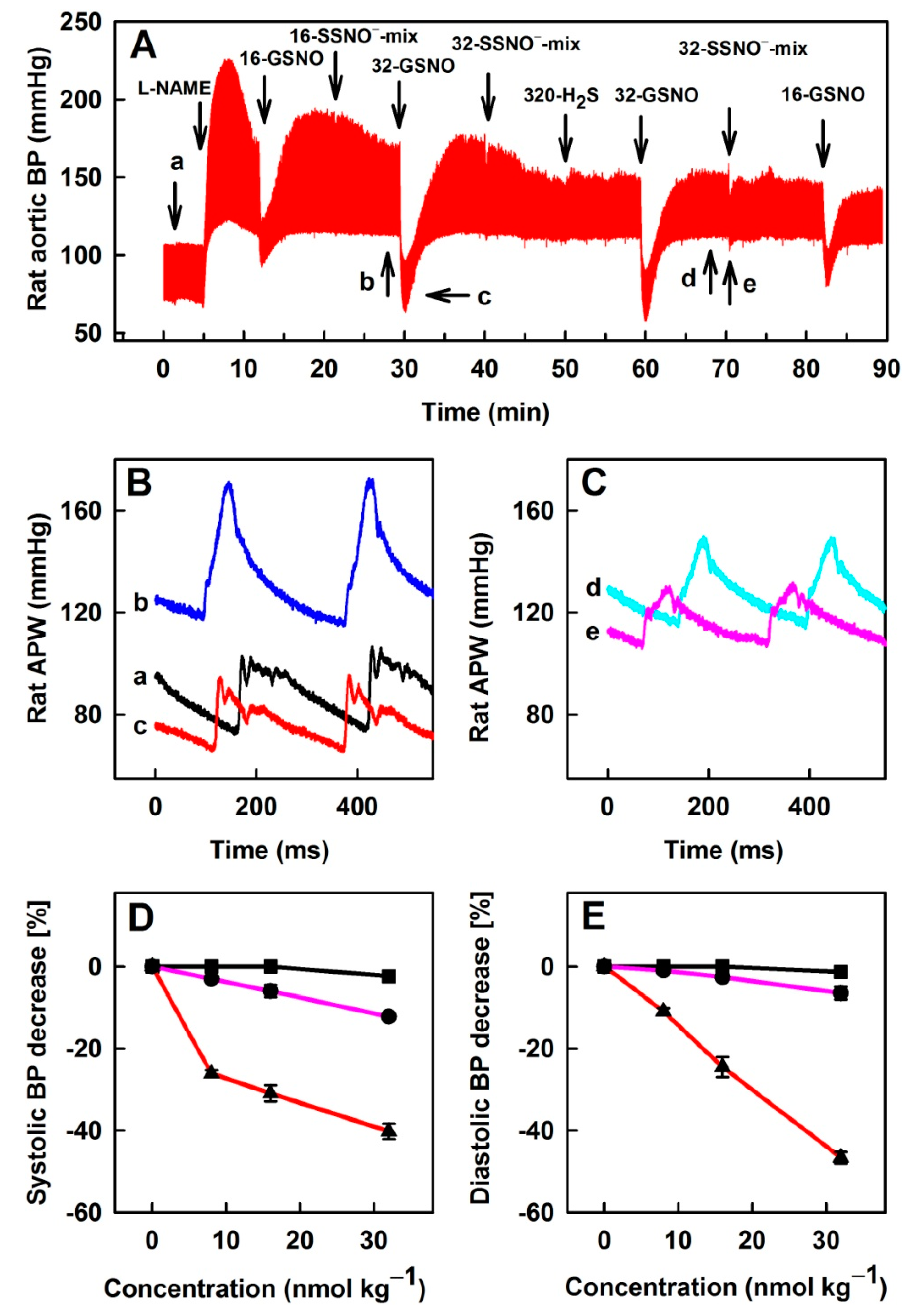 Biomolecules 11 00293 g007