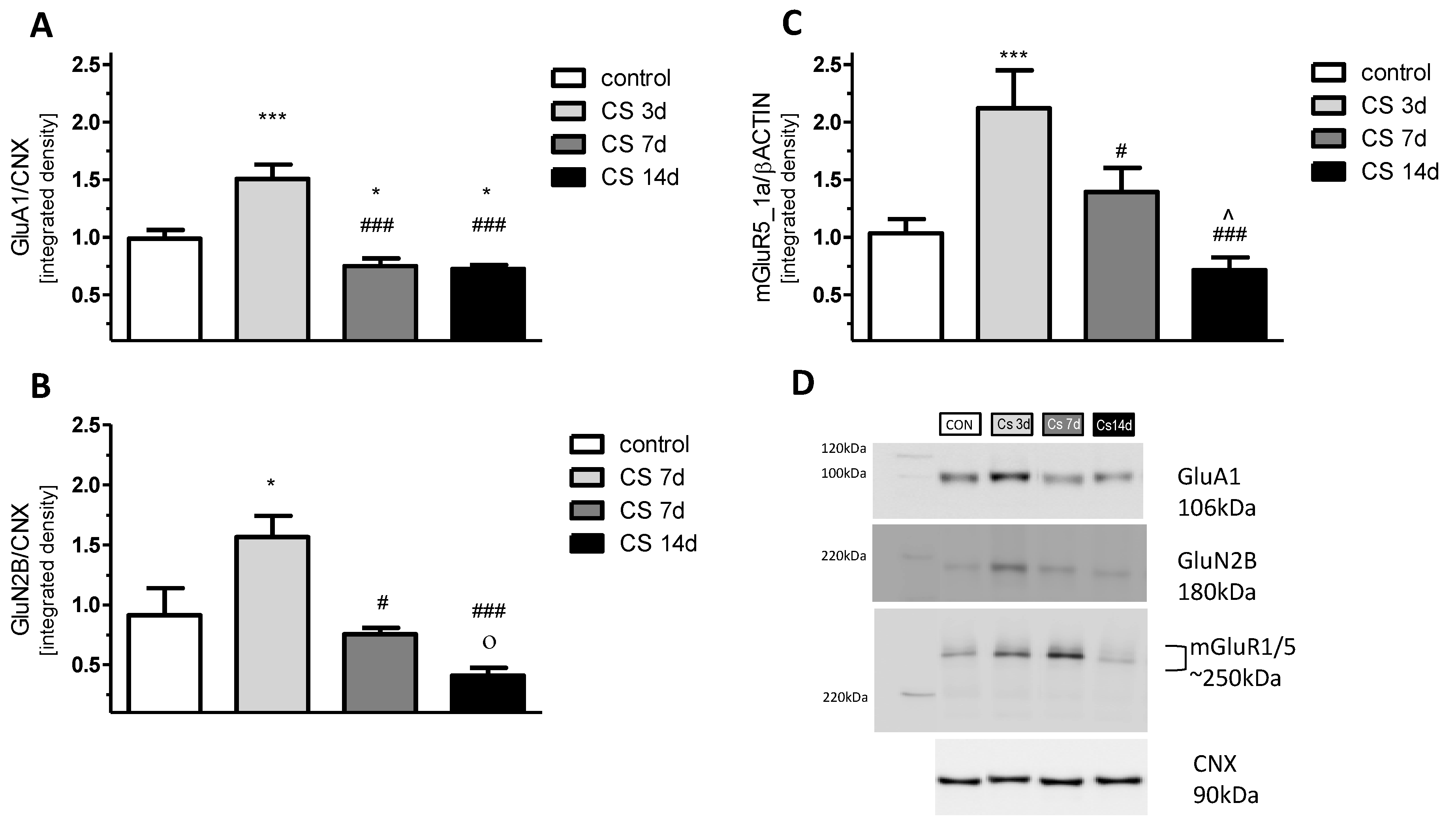 Biomolecules 11 00294 g006