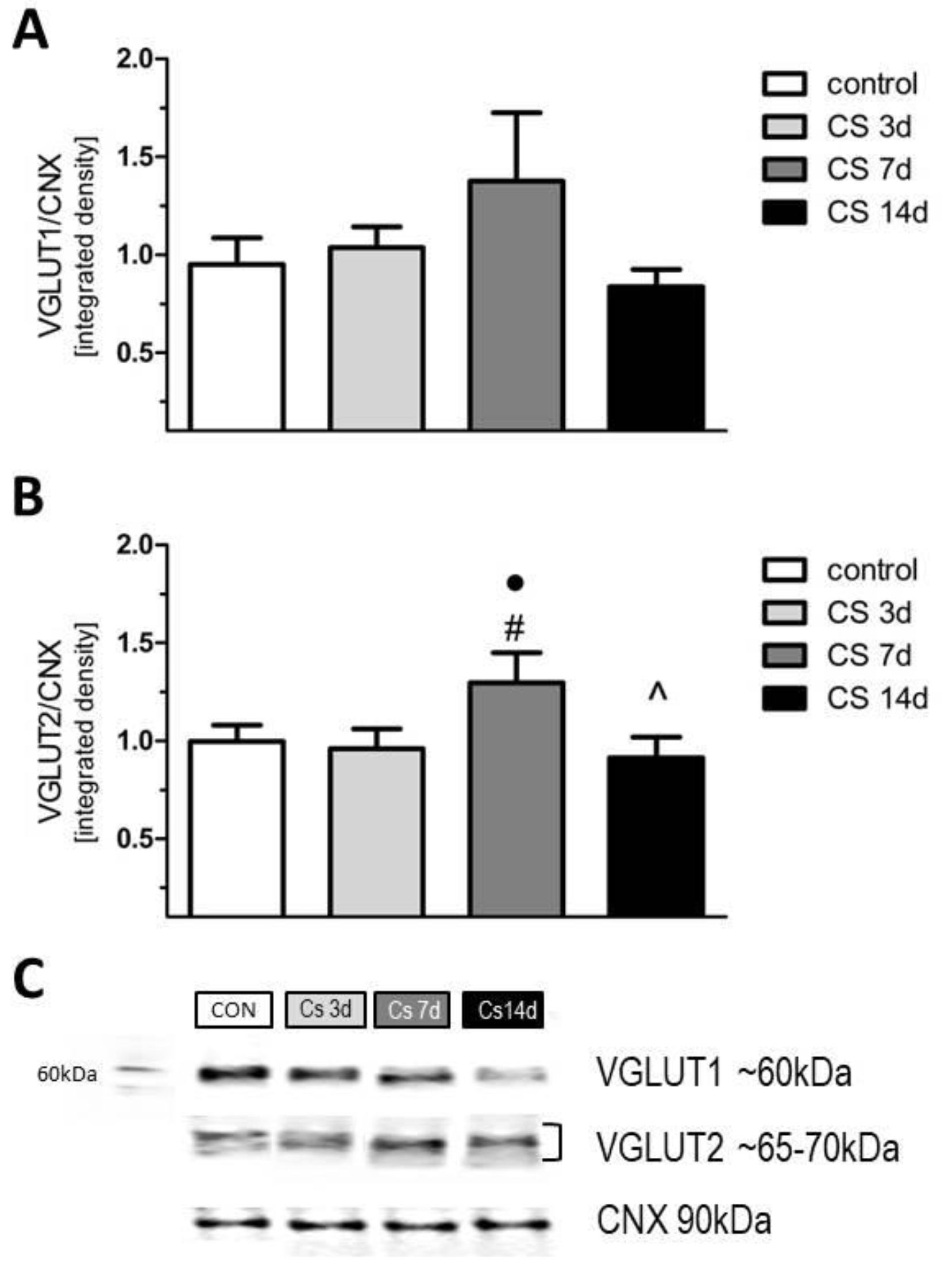 Biomolecules 11 00294 g008