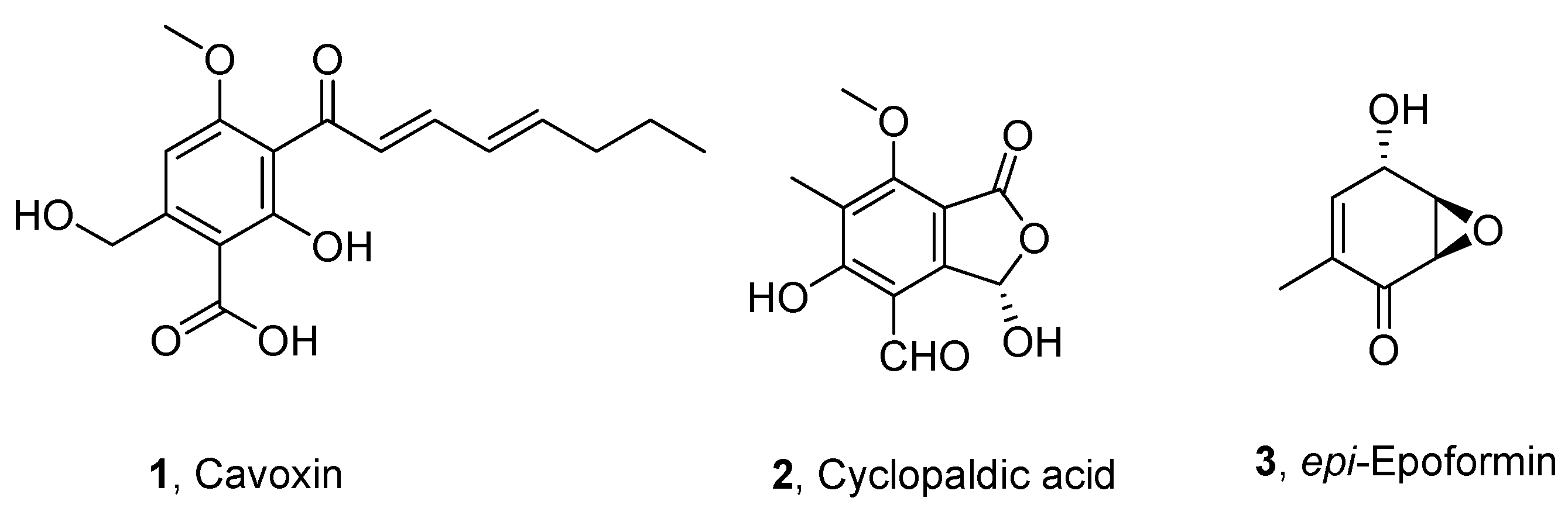 Biomolecules 11 00295 g001