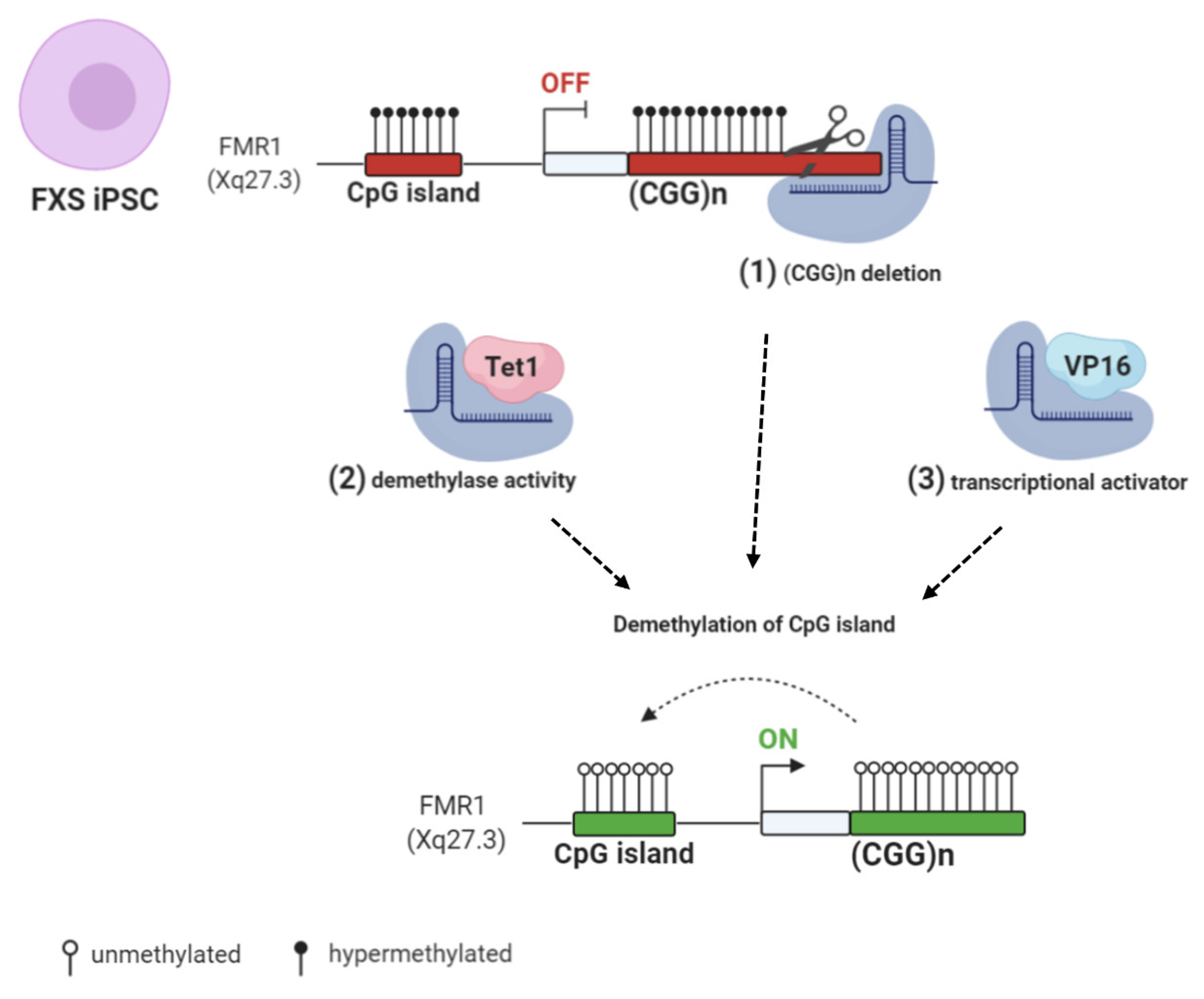 Biomolecules 11 00296 g003 Biomolecules 11 00296 g003