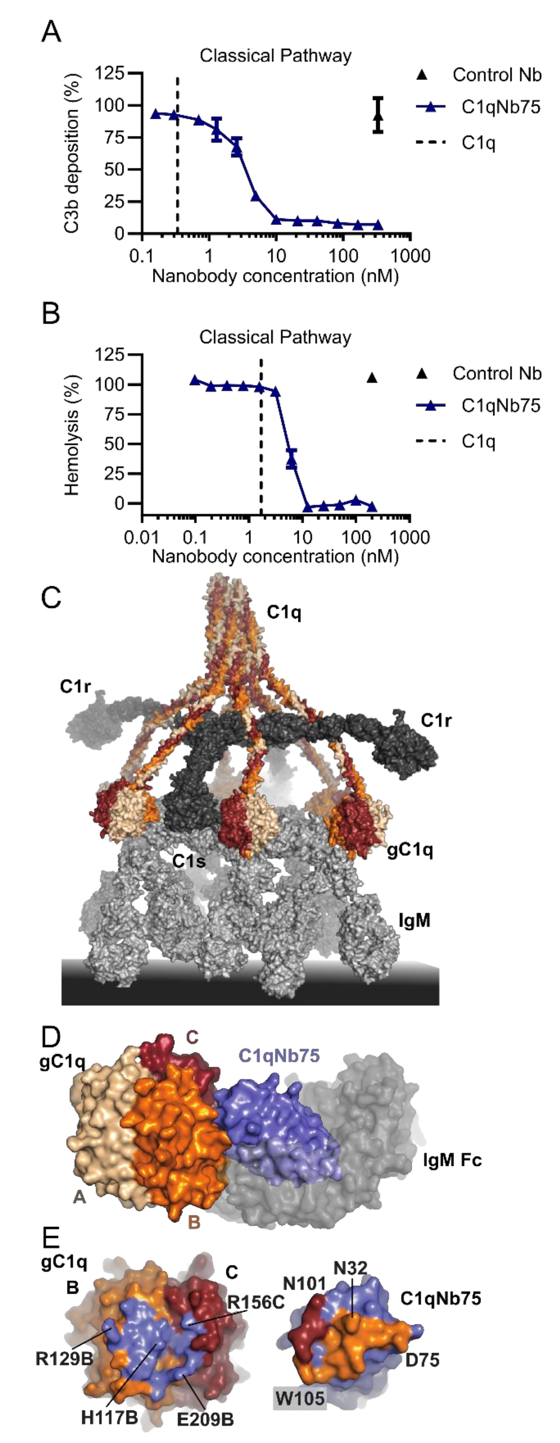 Biomolecules 11 00298 g003