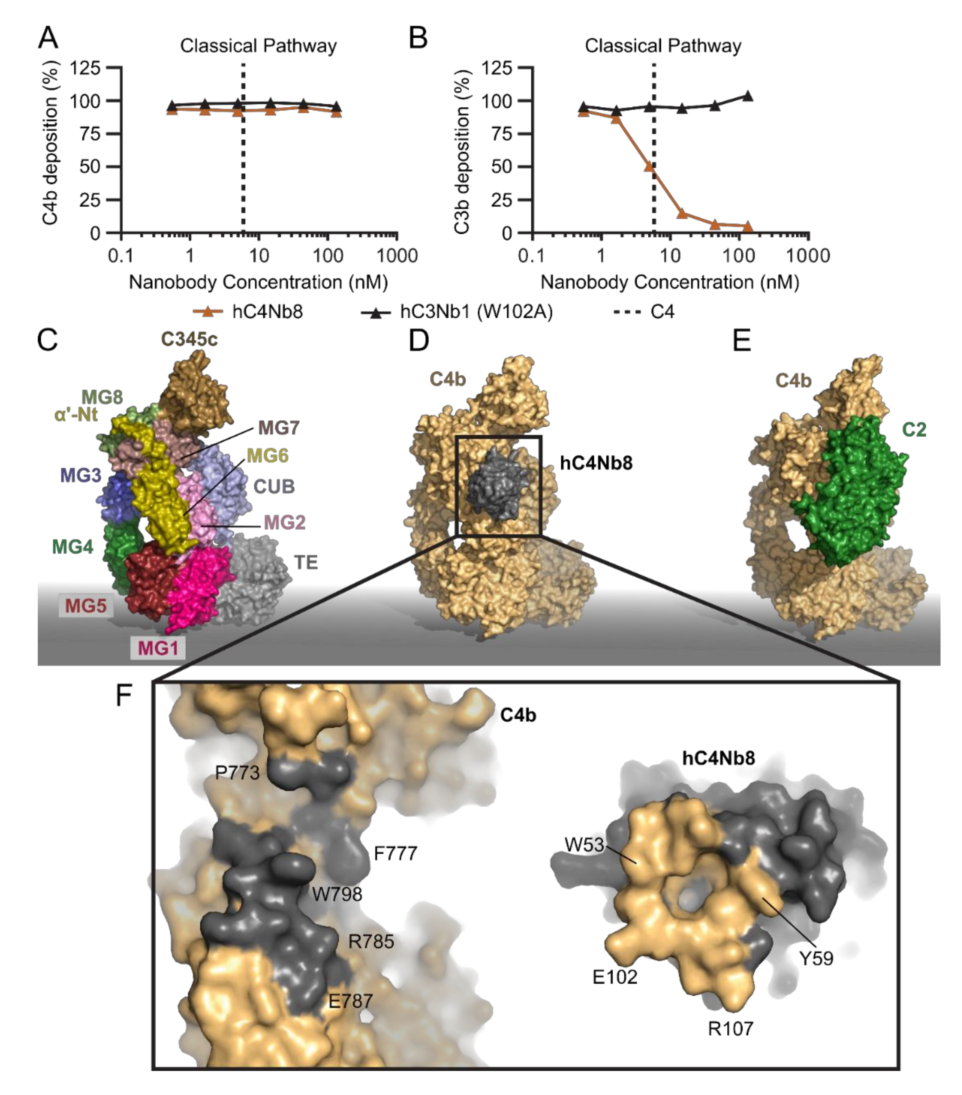 Biomolecules 11 00298 g004