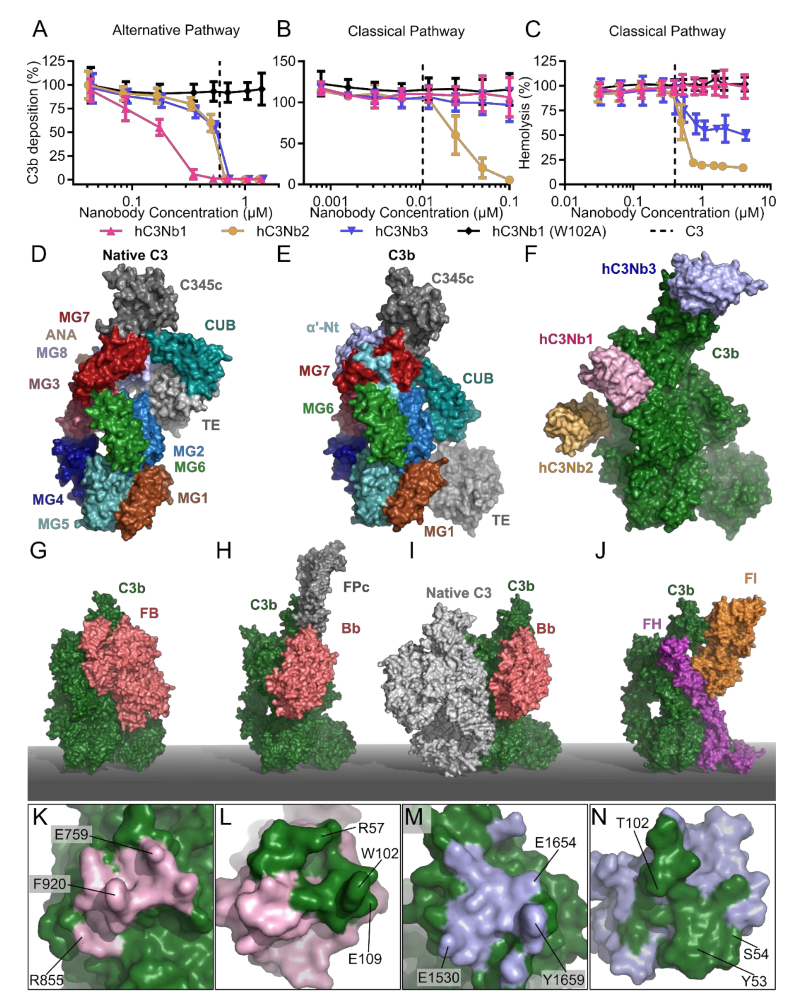 Biomolecules 11 00298 g005