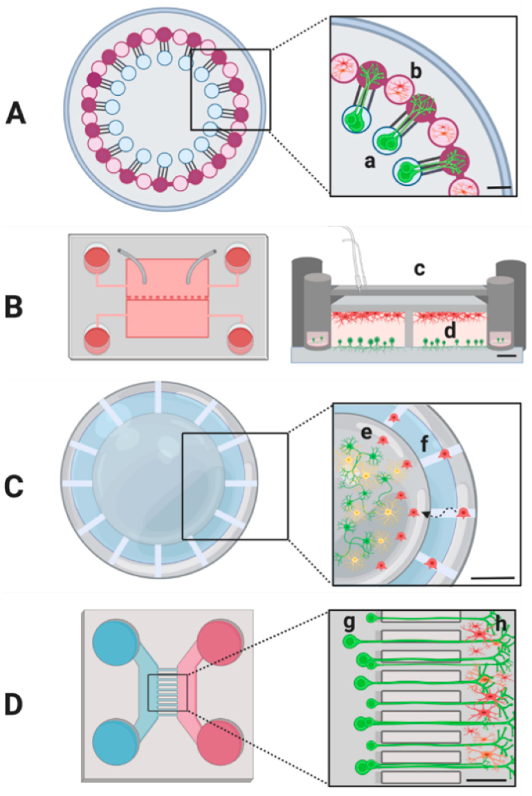 Biomolecules 11 00306 g002